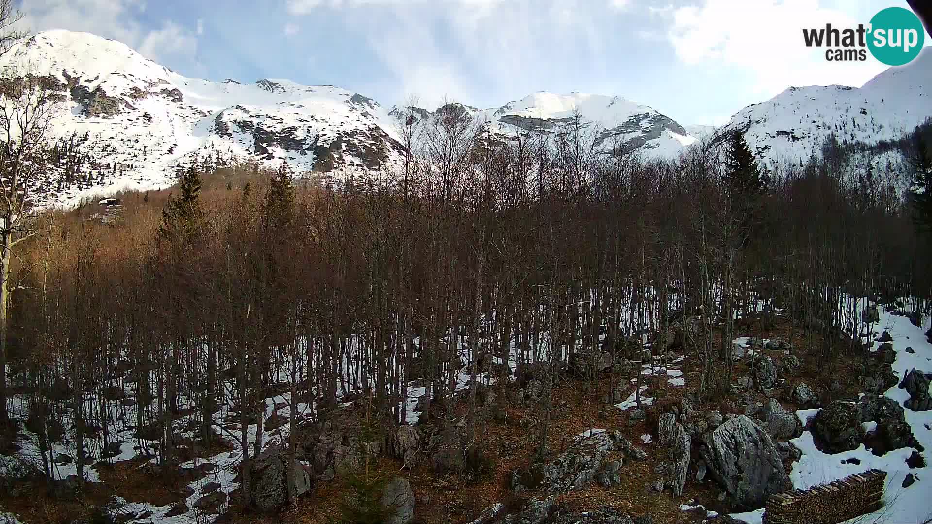 PLANINA RAZOR kamera (1315) | pogled na Vogel in Globoko