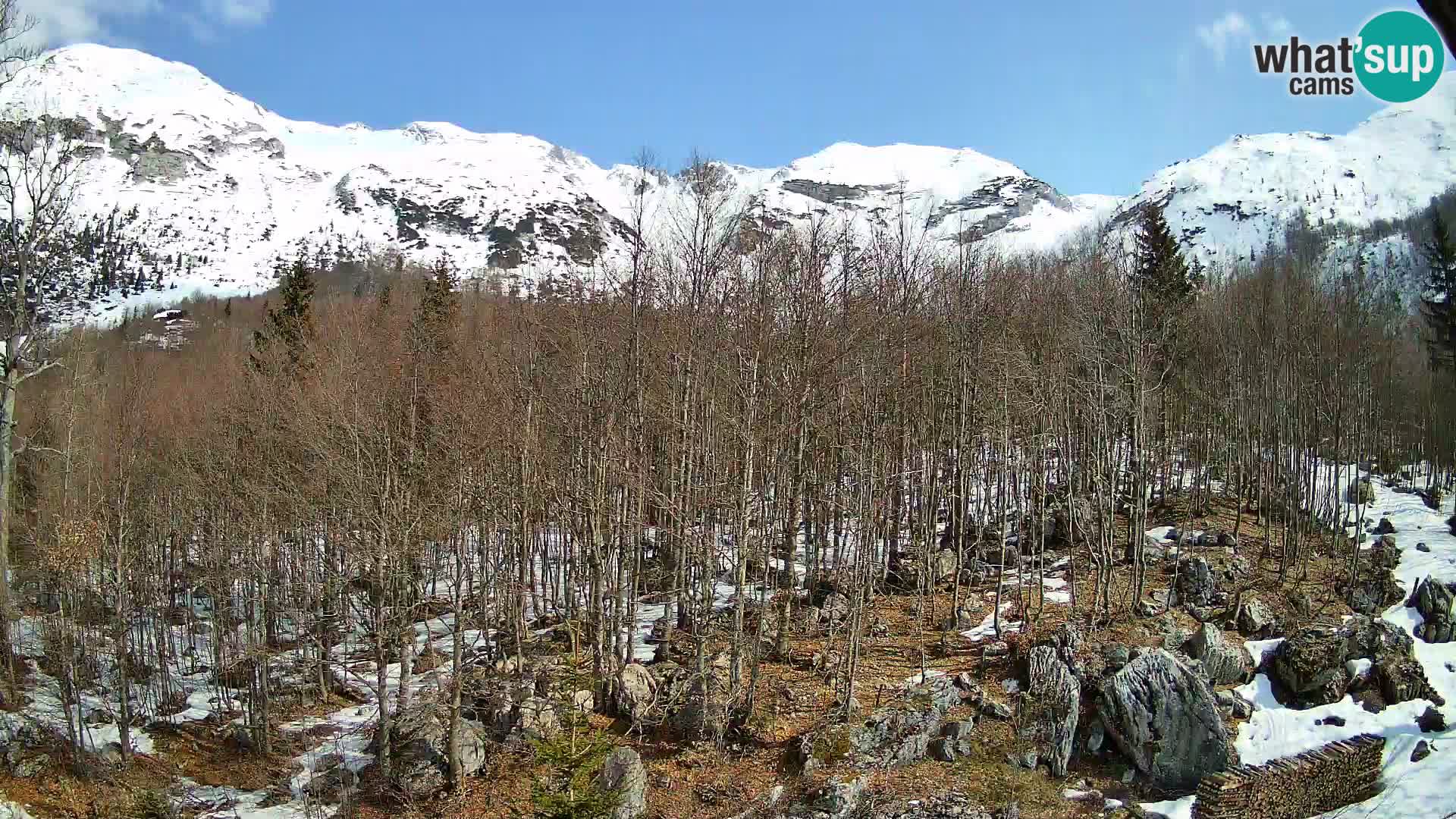 PLANINA RAZOR web kamera (1315) | pogled na Vogel i Globoko