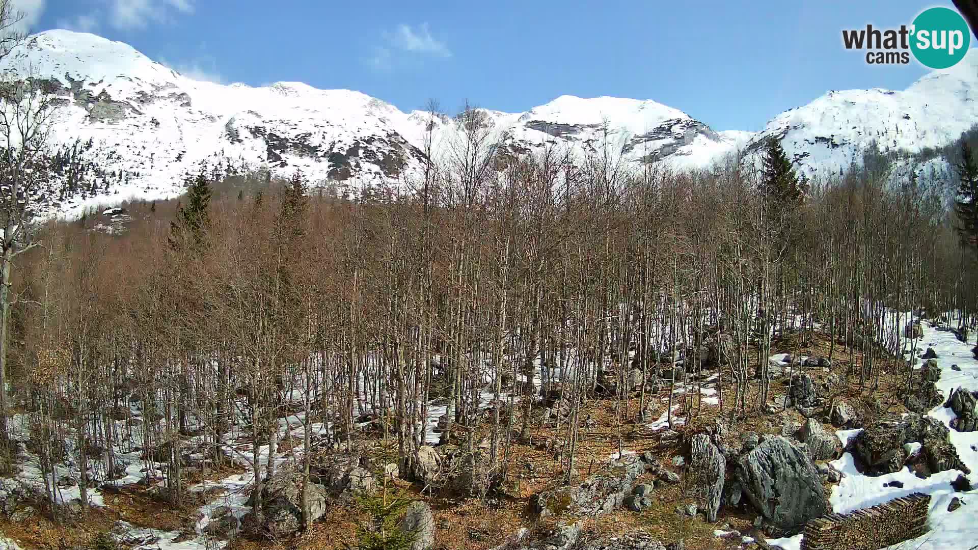 Cámara web PLANINA RAZOR (1315) | vista a Vogel y Globoko