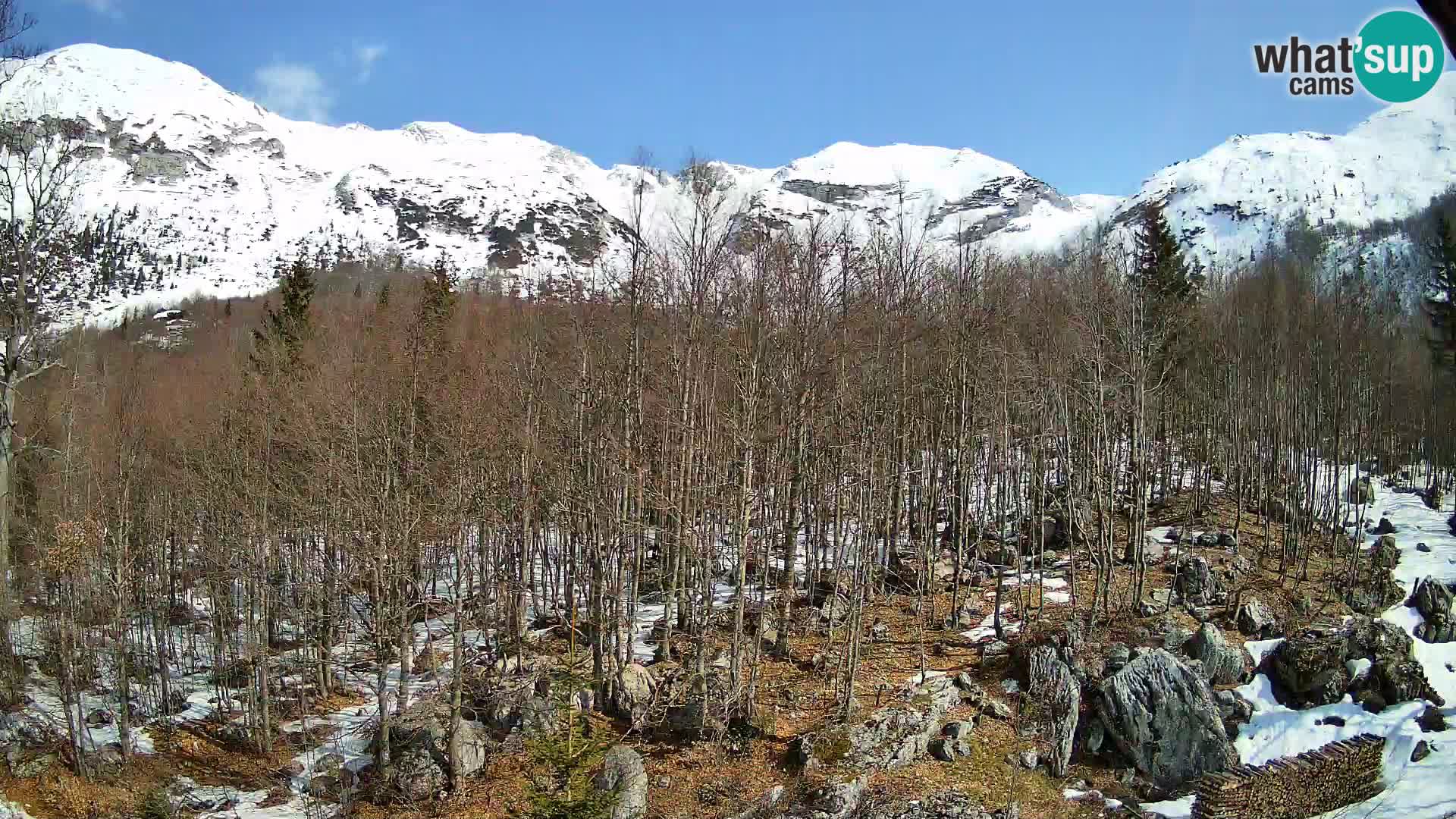 Webcam PLANINA RAZOR (1315) | Blick auf Vogel und Globoko