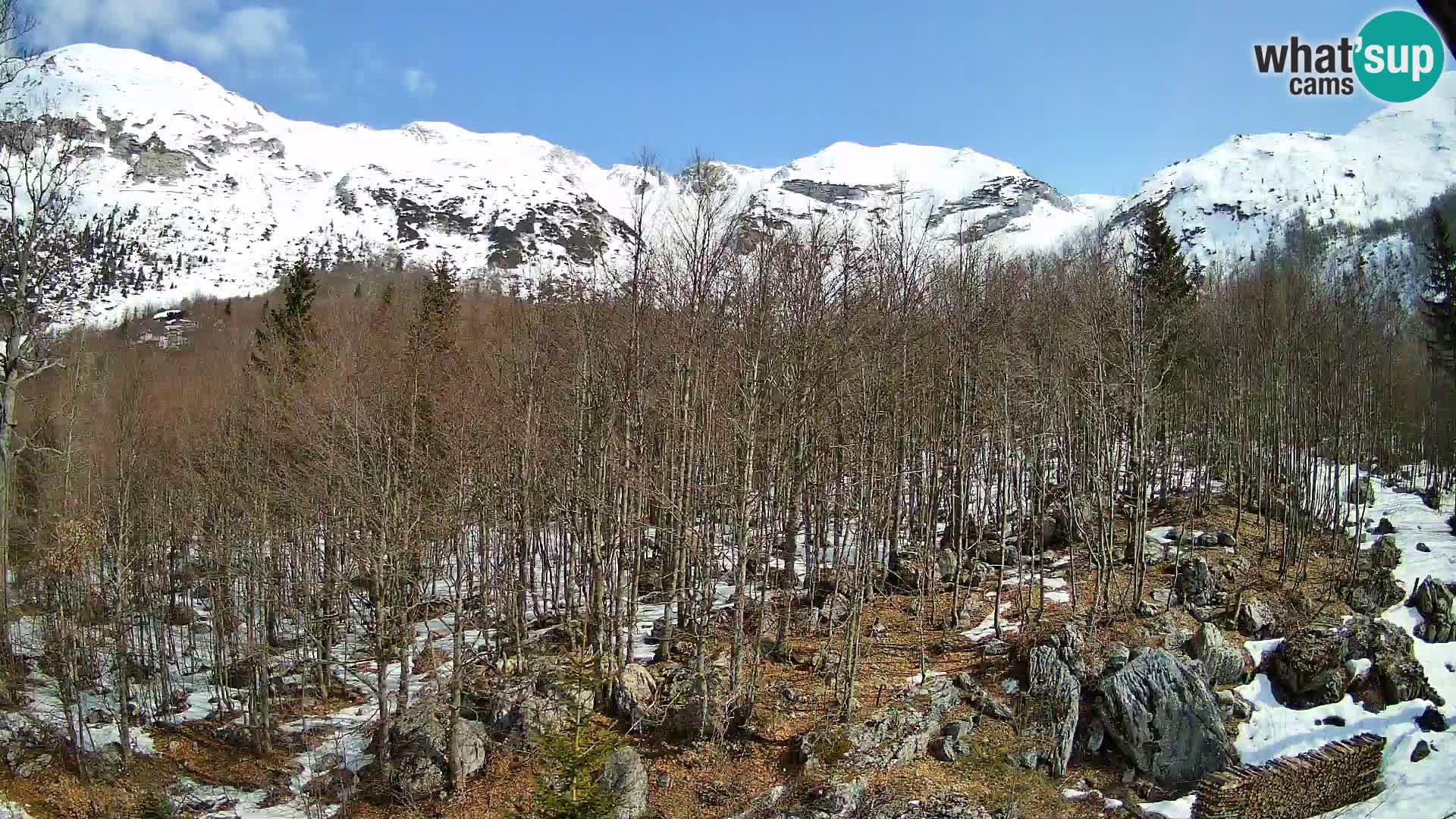 PLANINA RAZOR Live Cam (1315) | vista su Vogel e Globoko