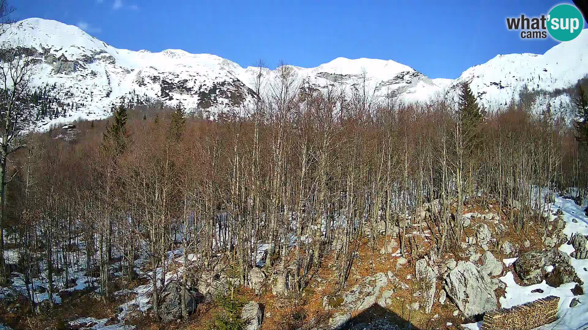 Cámara web PLANINA RAZOR (1315) | vista a Vogel y Globoko