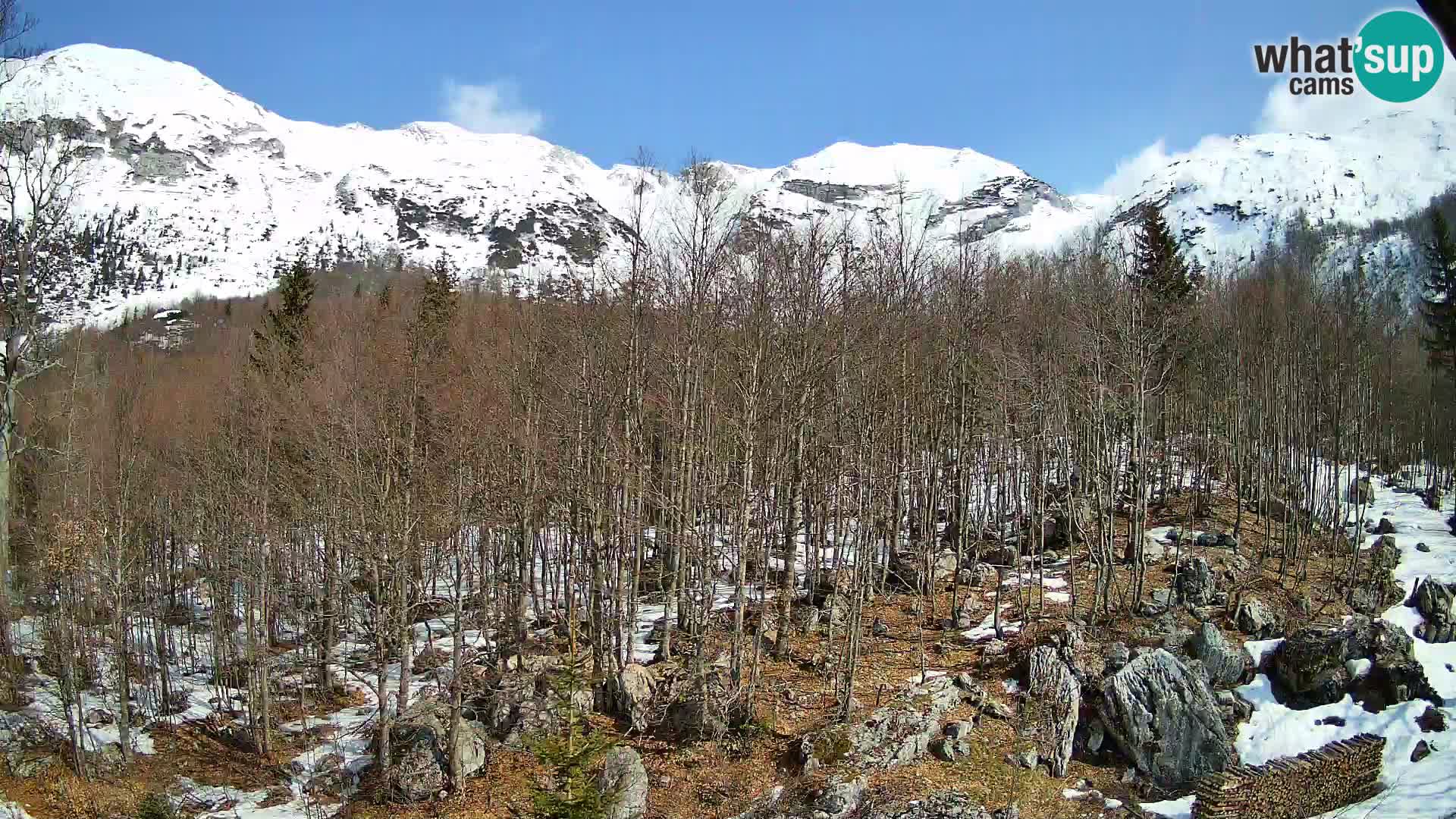 Livecam PLANINA RAZOR (1315) | vue sur Vogel et Globoko