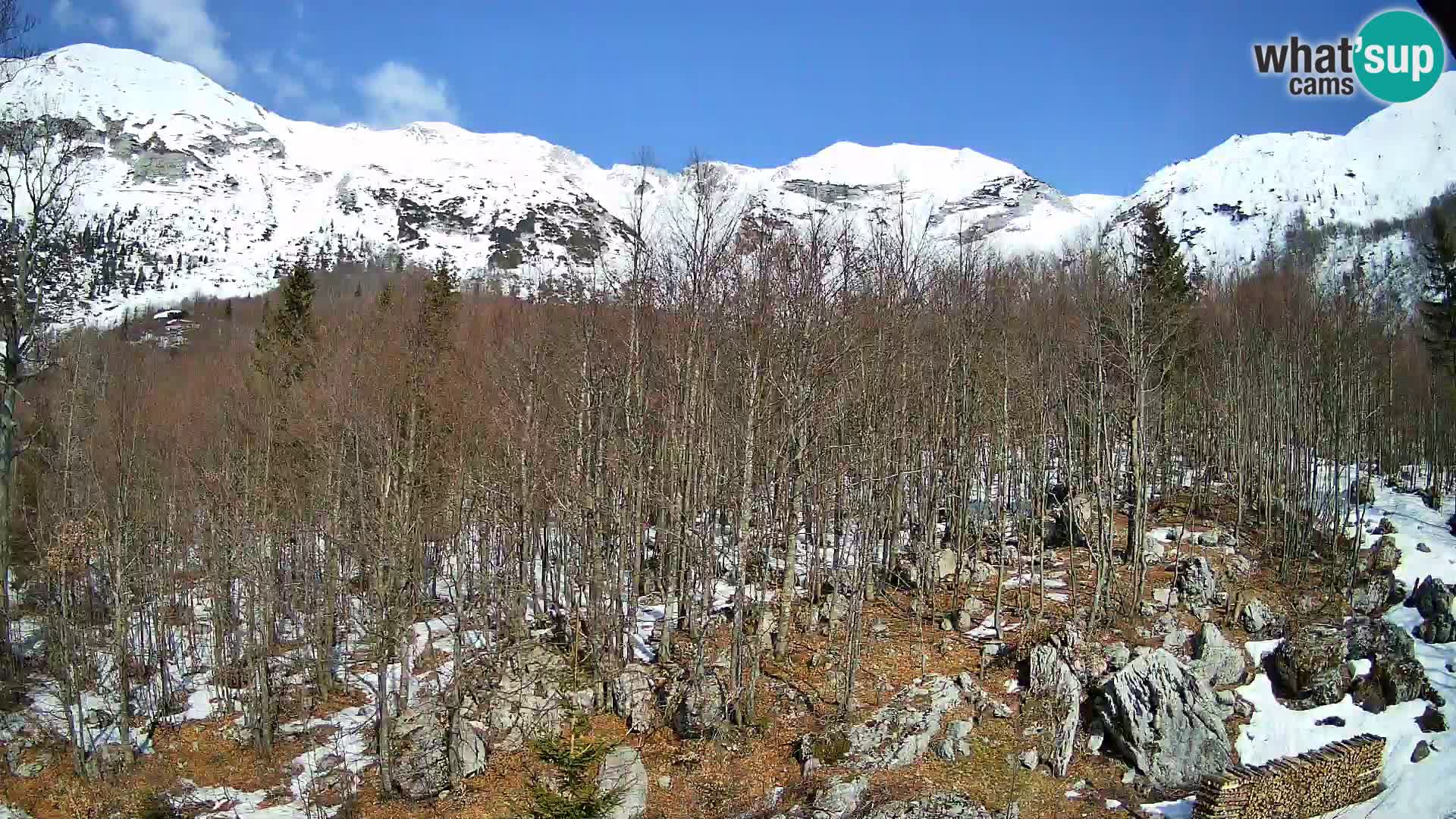 PLANINA RAZOR Live Cam (1315) | vista su Vogel e Globoko