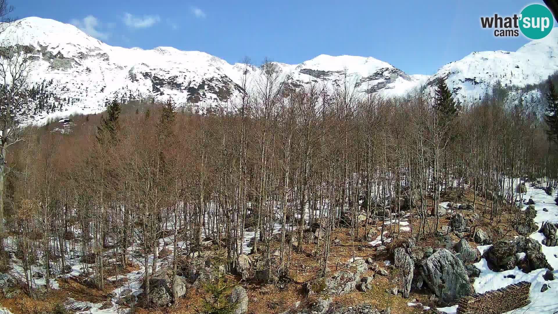 PLANINA RAZOR webcam (1315) | view to Vogel and Globoko