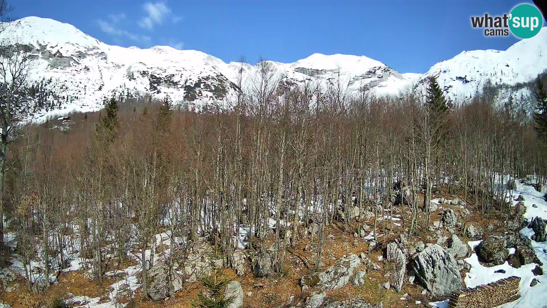 PLANINA RAZOR webcam (1315) | view to Vogel and Globoko