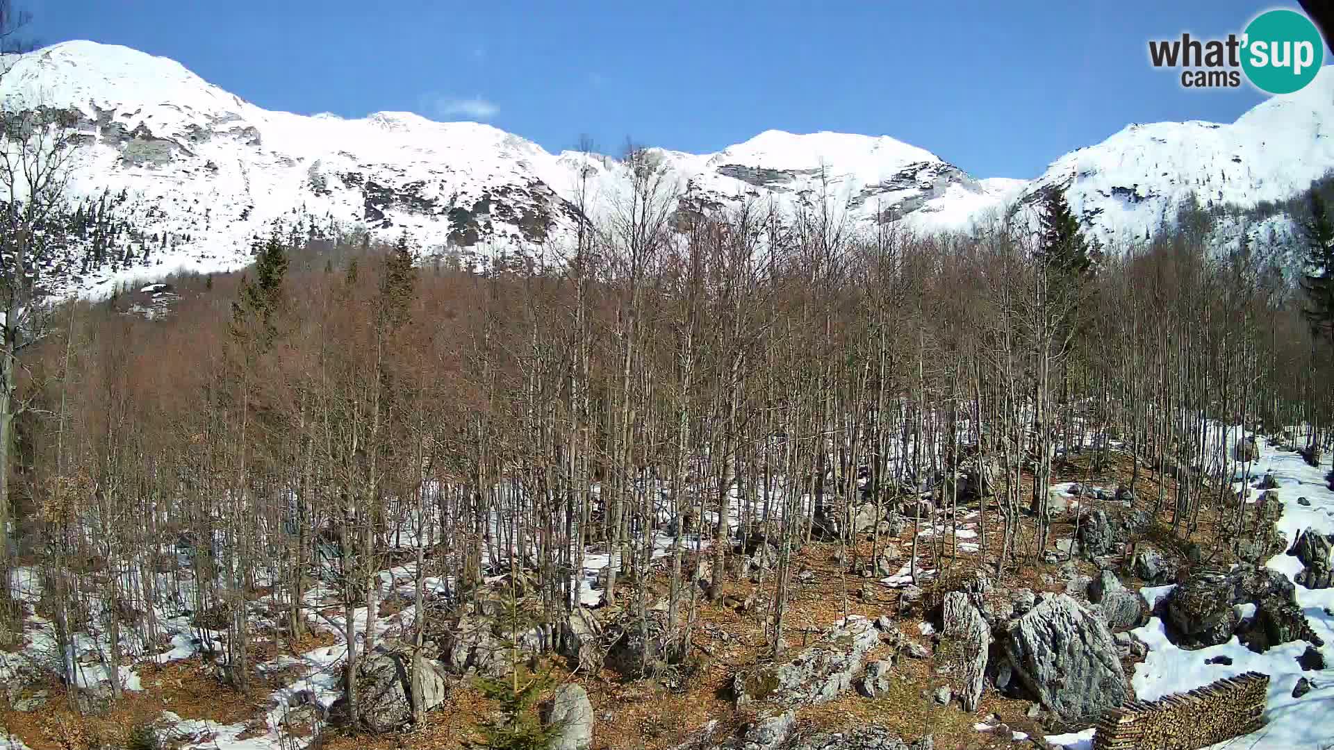 PLANINA RAZOR Live Cam (1315) | vista su Vogel e Globoko