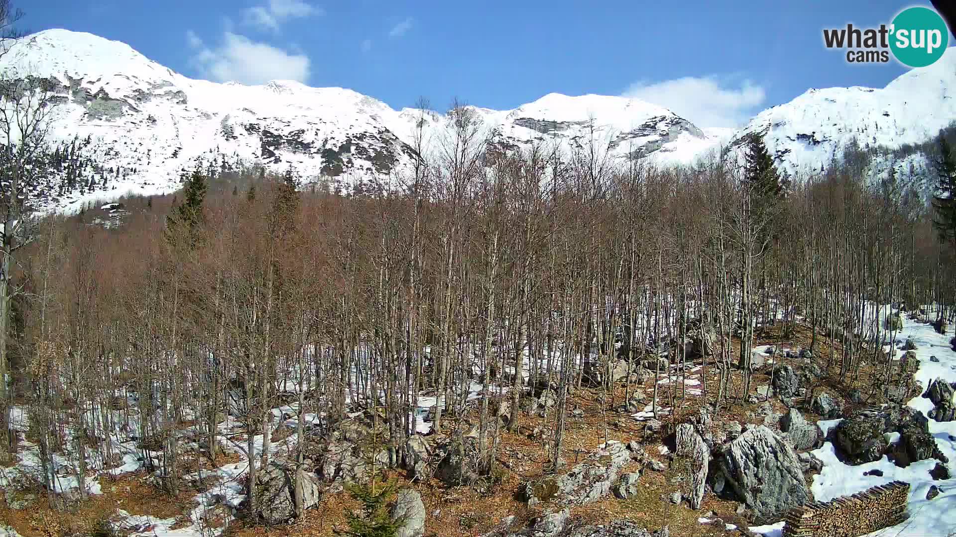 Livecam PLANINA RAZOR (1315) | vue sur Vogel et Globoko