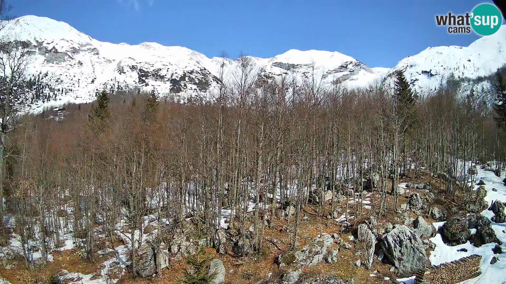 PLANINA RAZOR kamera (1315) | pogled na Vogel in Globoko