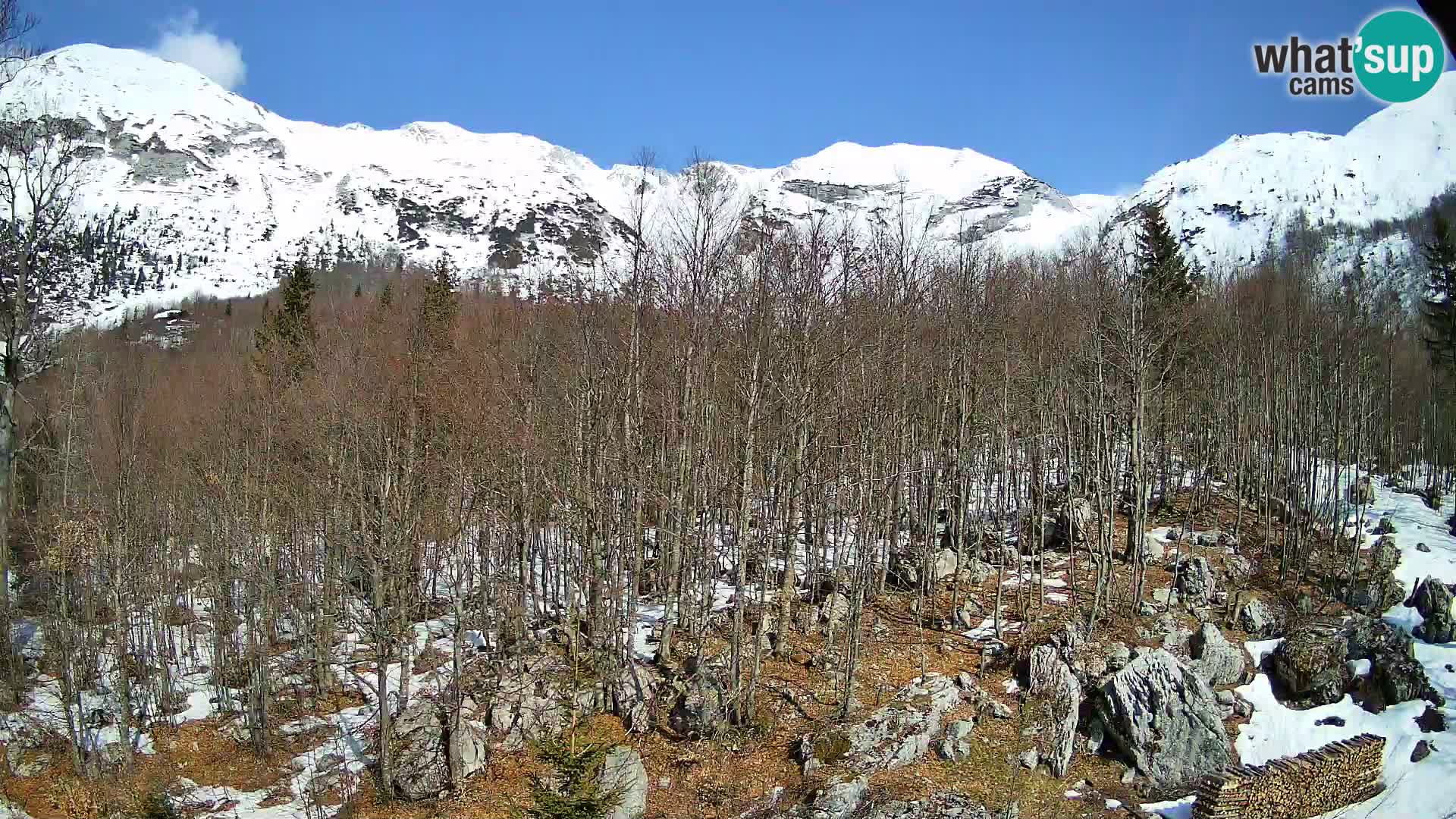 PLANINA RAZOR Live Cam (1315) | vista su Vogel e Globoko