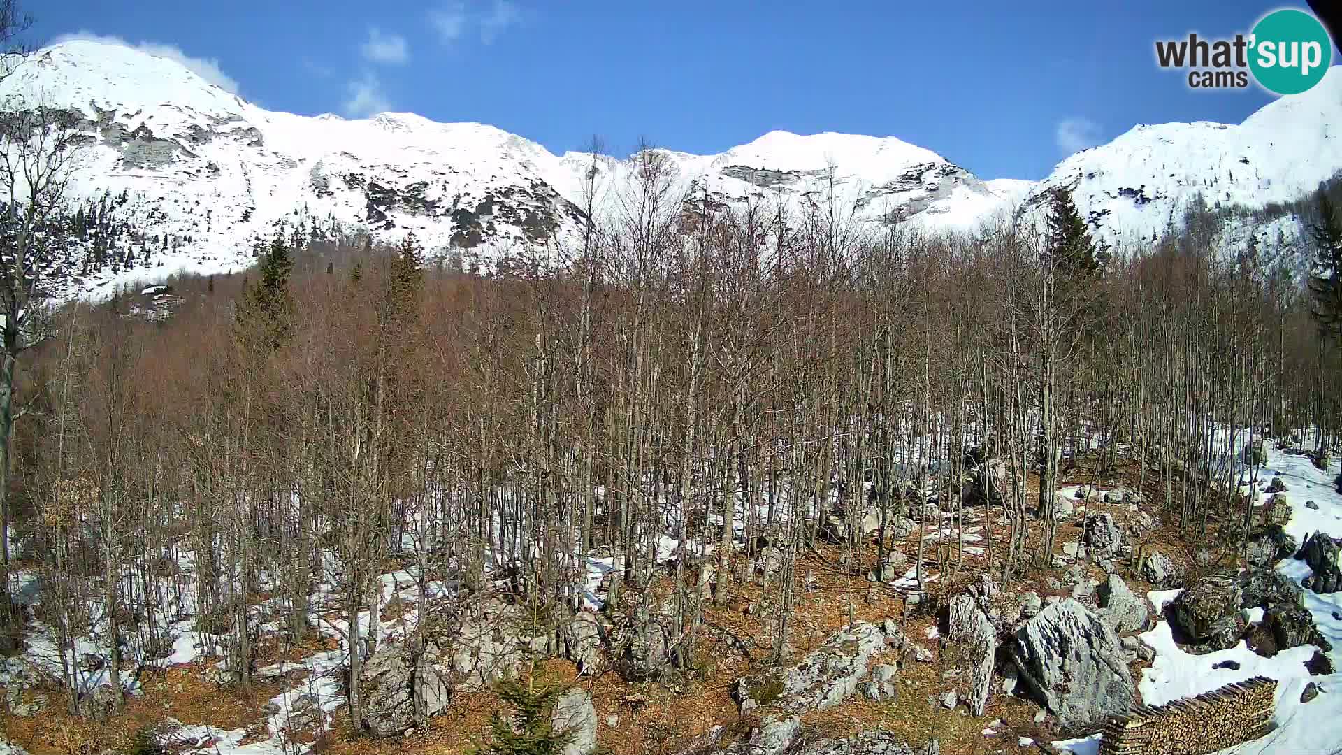 PLANINA RAZOR web kamera (1315) | pogled na Vogel i Globoko