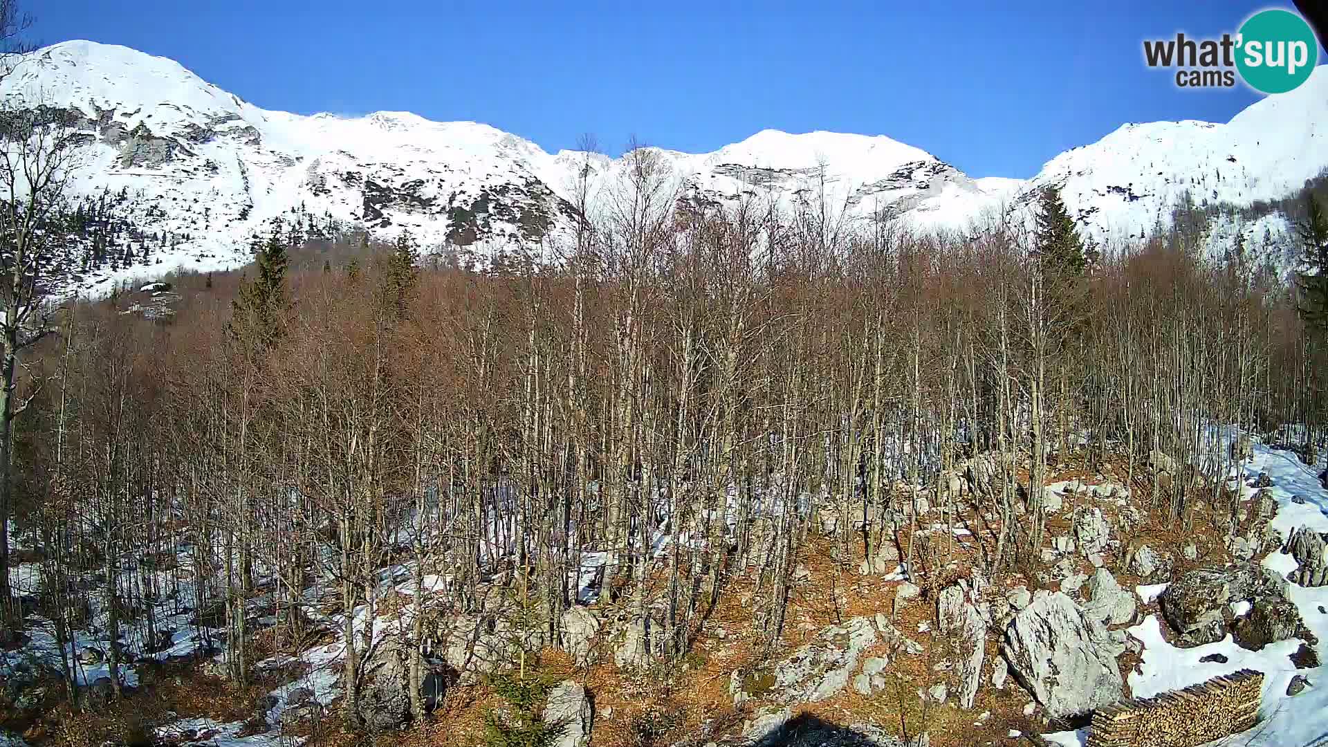 PLANINA RAZOR webcam (1315) | view to Vogel and Globoko