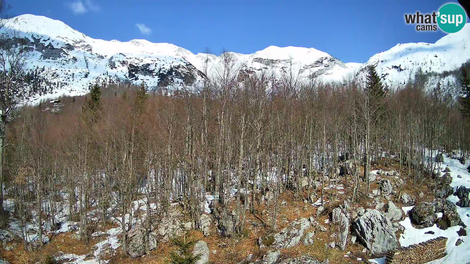 PLANINA RAZOR kamera (1315) | pogled na Vogel in Globoko