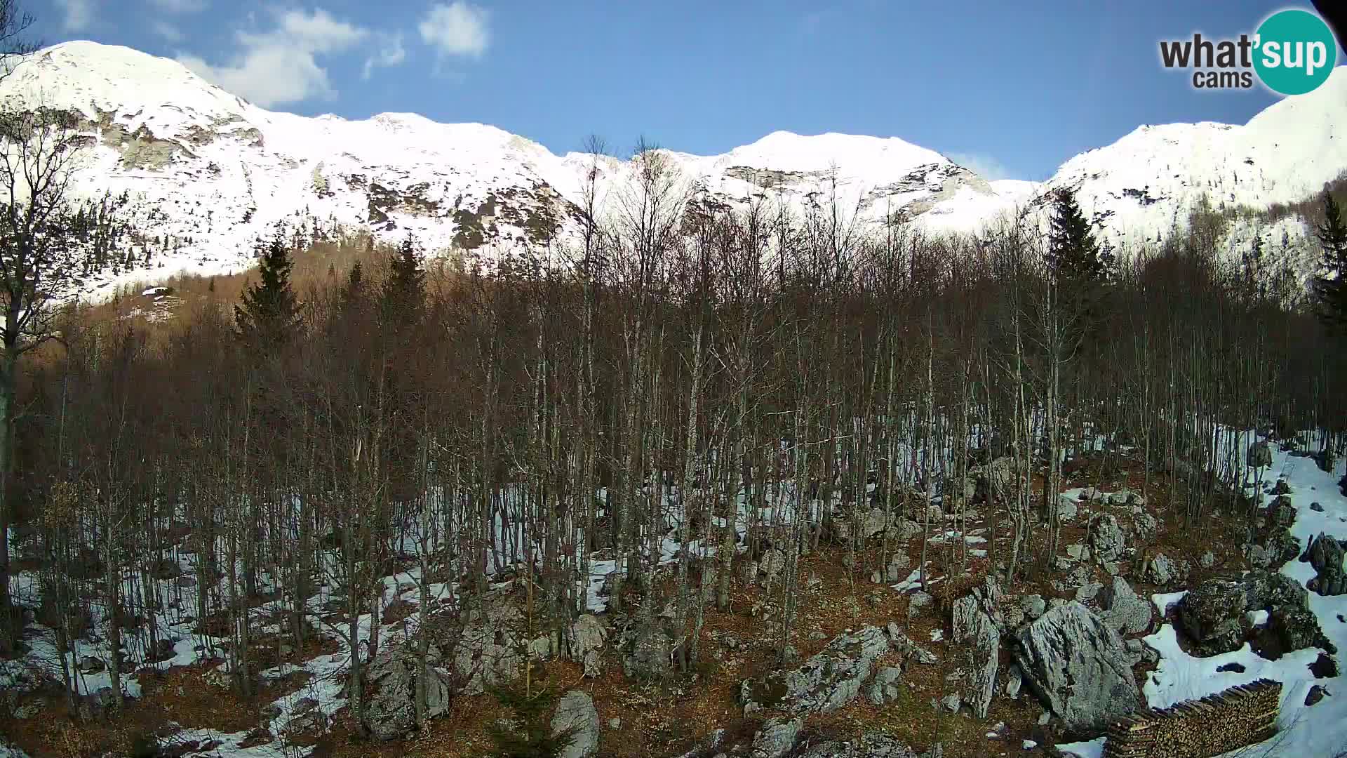 PLANINA RAZOR kamera (1315) | pogled na Vogel in Globoko
