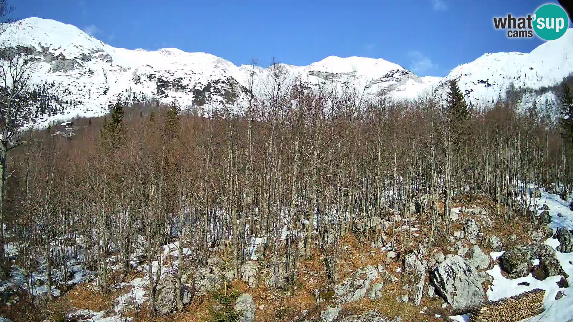 PLANINA RAZOR Live Cam (1315) | vista su Vogel e Globoko