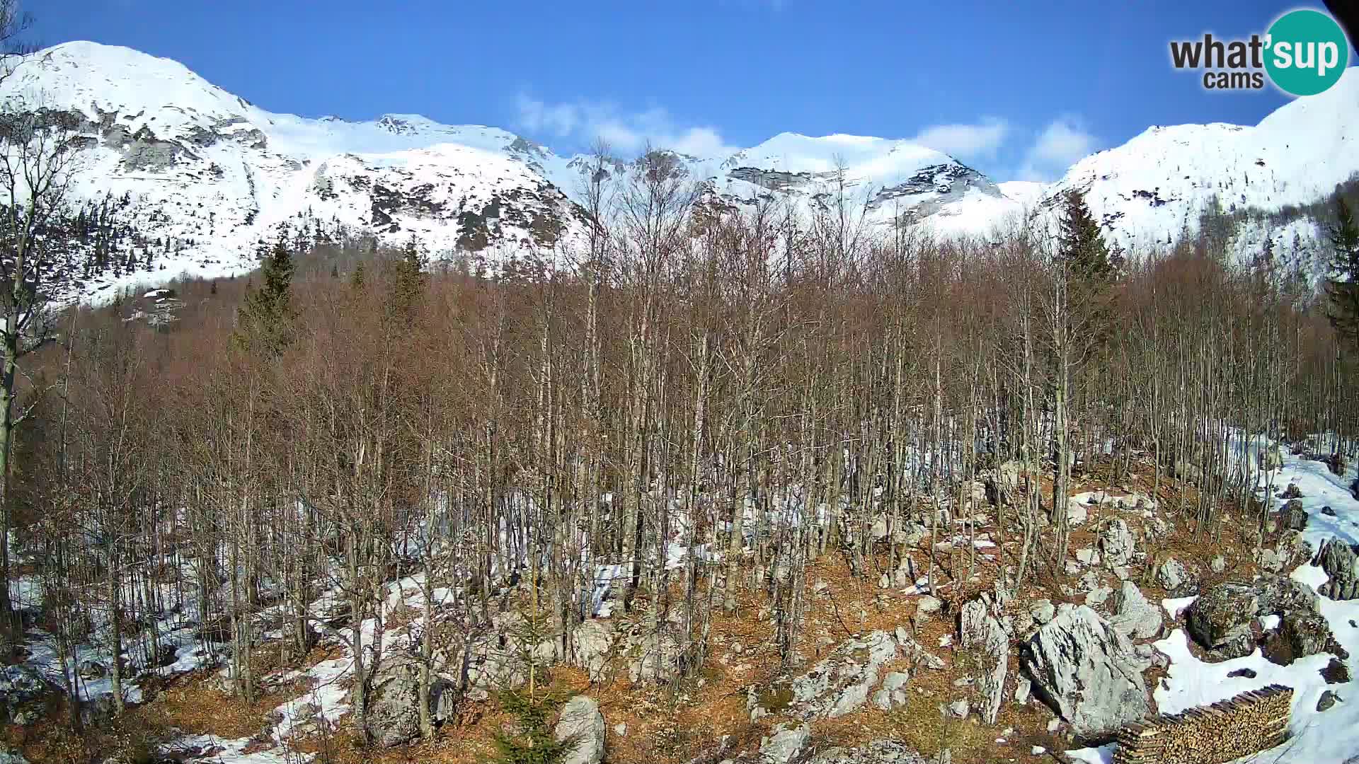 PLANINA RAZOR webcam (1315) | view to Vogel and Globoko