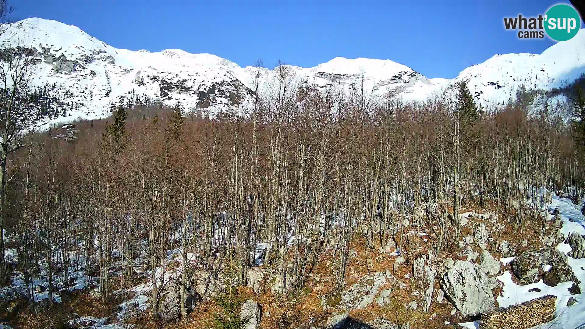 Cámara web PLANINA RAZOR (1315) | vista a Vogel y Globoko