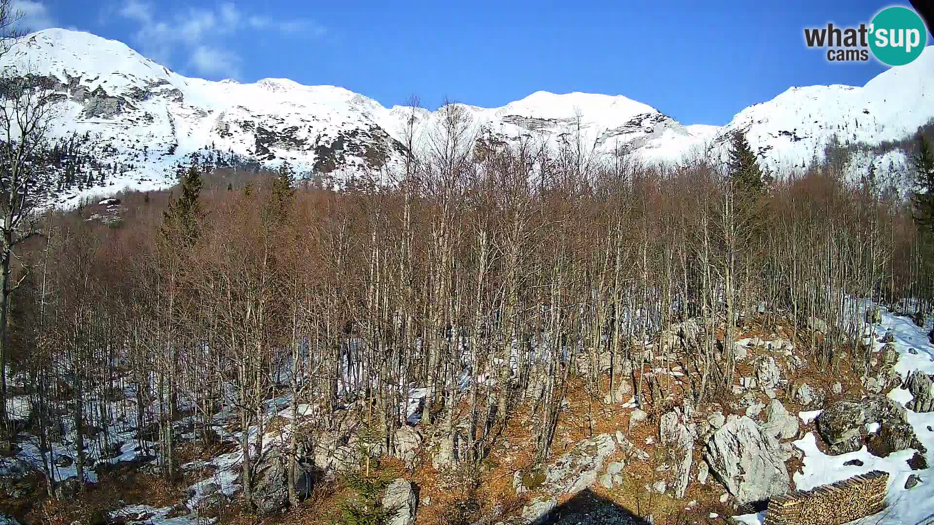 PLANINA RAZOR webcam (1315) | view to Vogel and Globoko