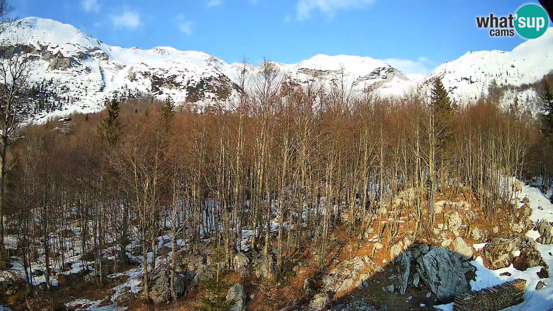 Webcam PLANINA RAZOR (1315) | Blick auf Vogel und Globoko