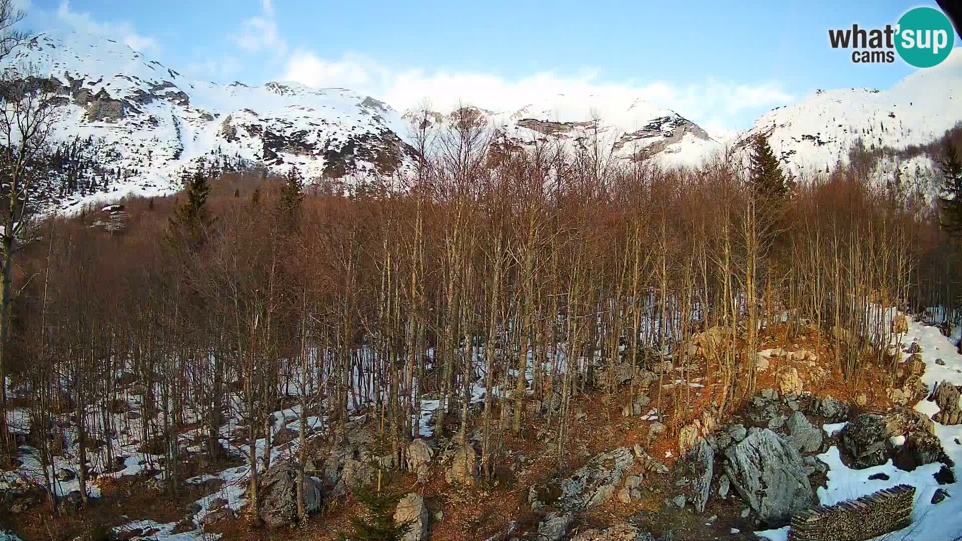 PLANINA RAZOR Live Cam (1315) | vista su Vogel e Globoko