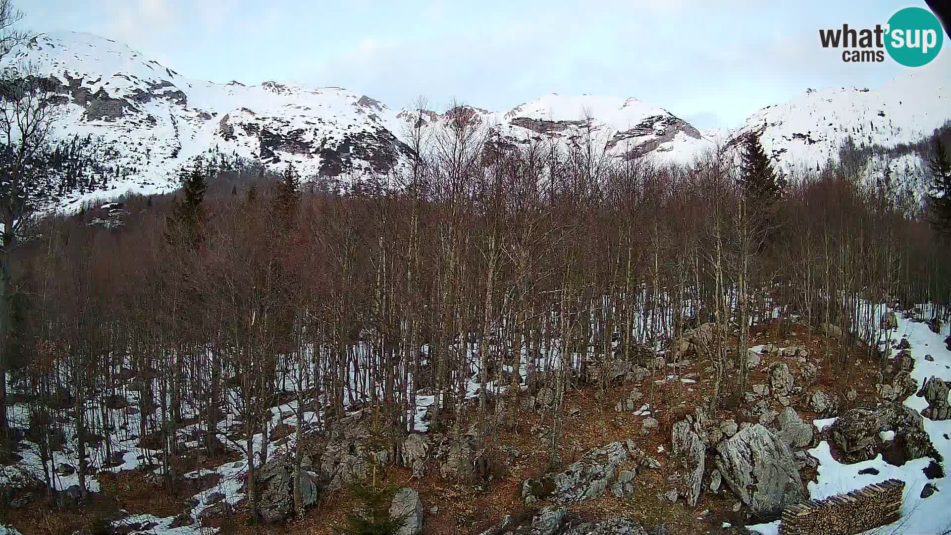 Cámara web PLANINA RAZOR (1315) | vista a Vogel y Globoko
