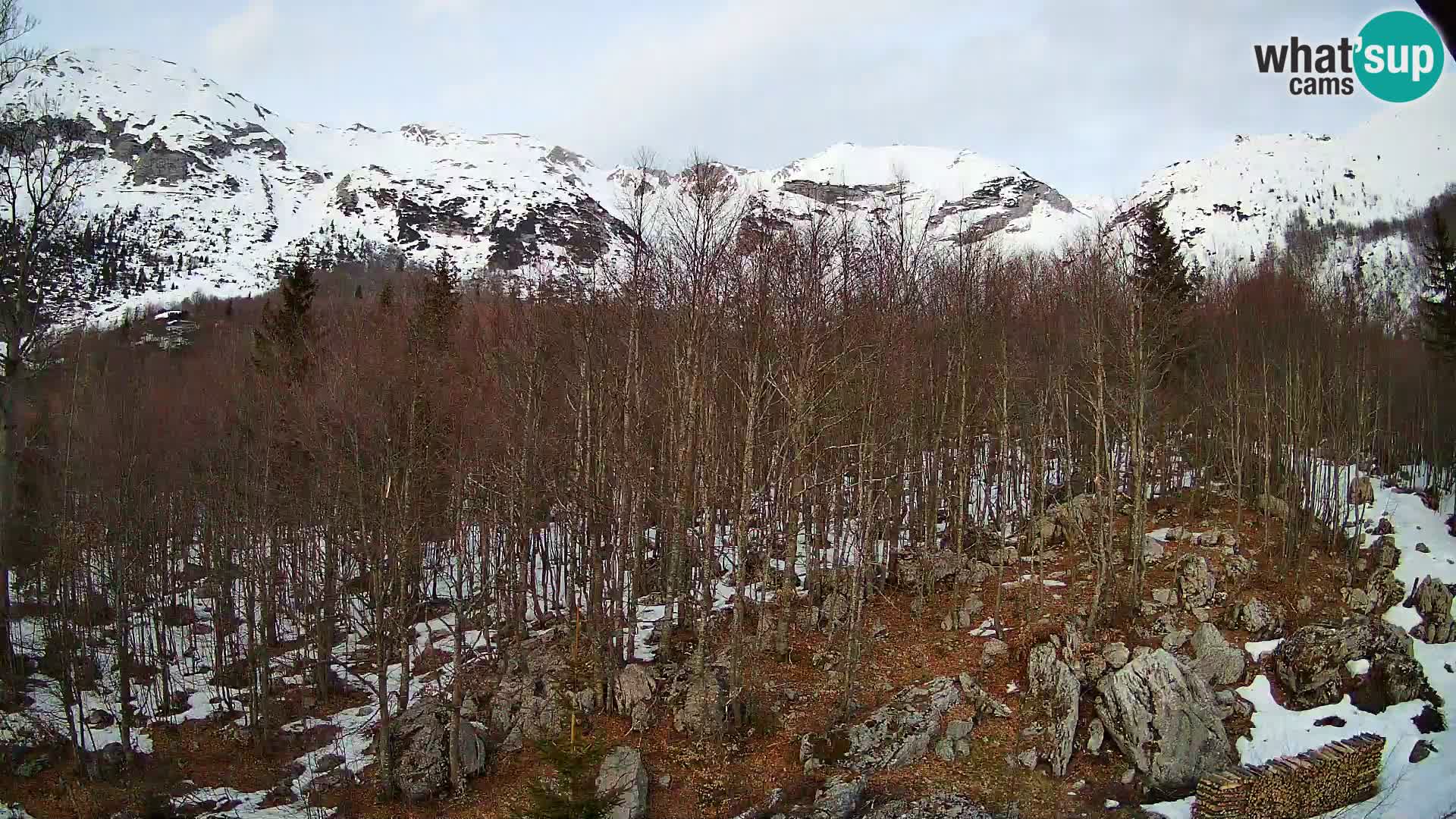 PLANINA RAZOR Live Cam (1315) | vista su Vogel e Globoko