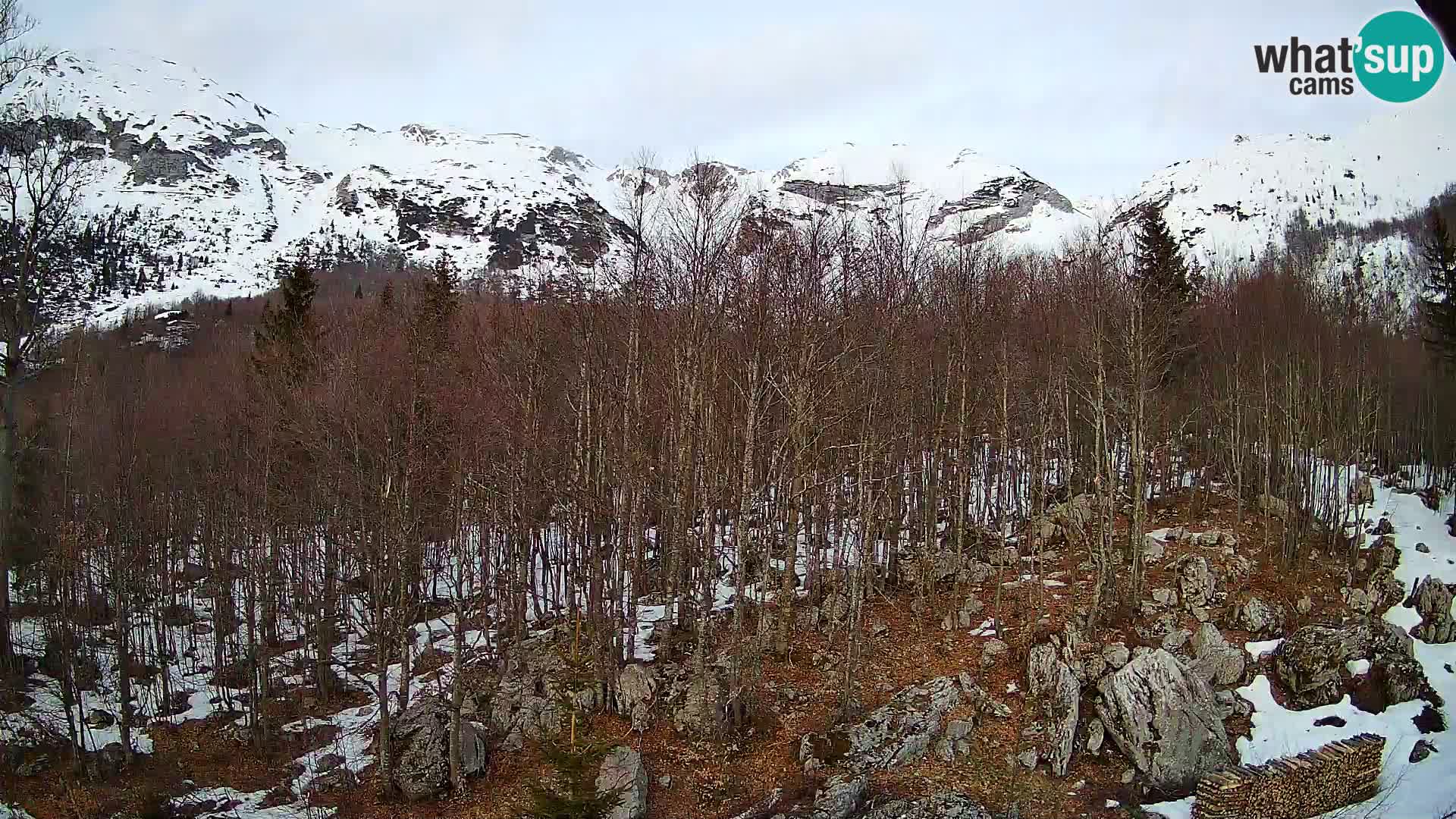 Webcam PLANINA RAZOR (1315) | Blick auf Vogel und Globoko