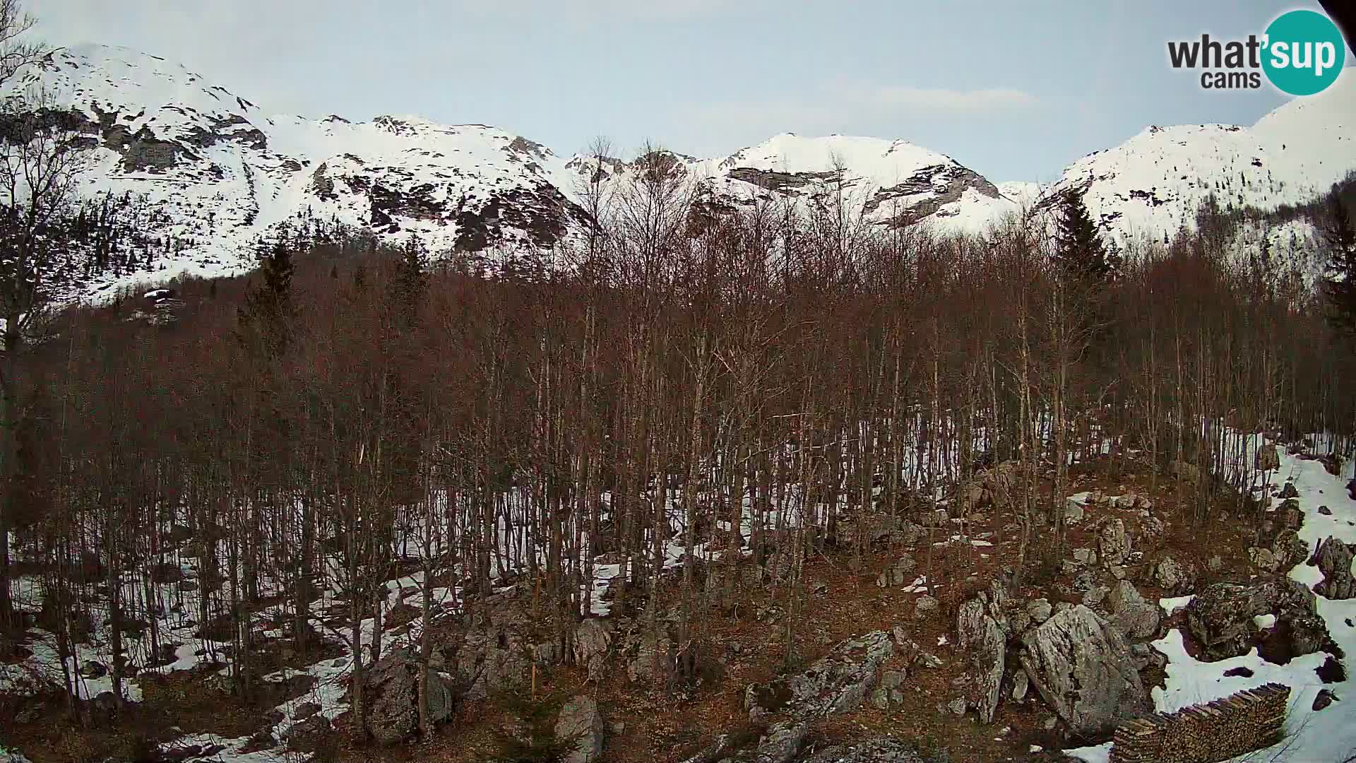 PLANINA RAZOR kamera (1315) | pogled na Vogel in Globoko