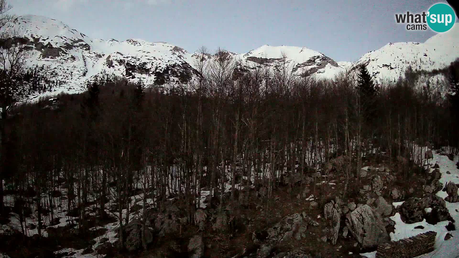 PLANINA RAZOR webcam (1315) | view to Vogel and Globoko