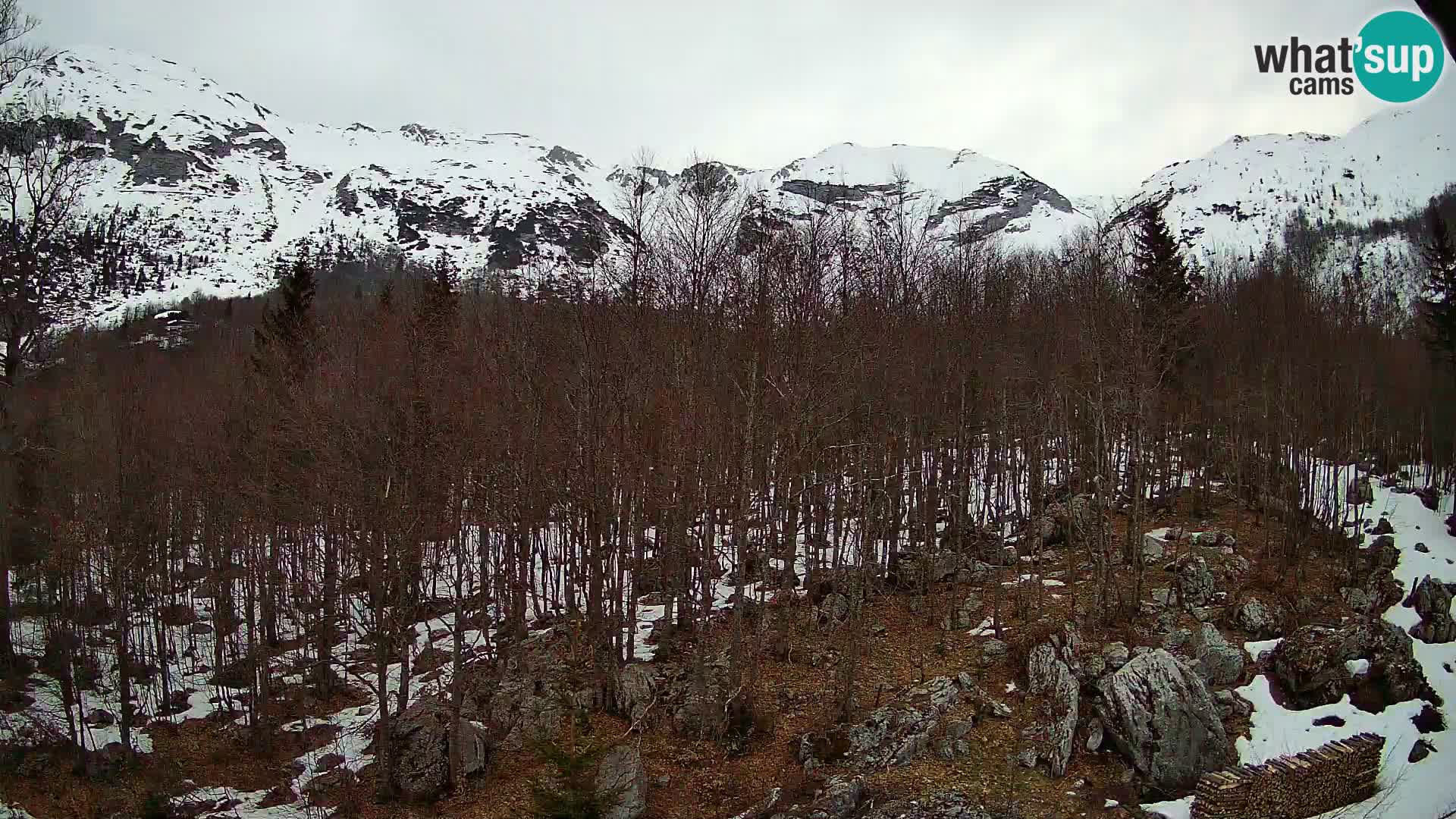 PLANINA RAZOR webcam (1315) | view to Vogel and Globoko