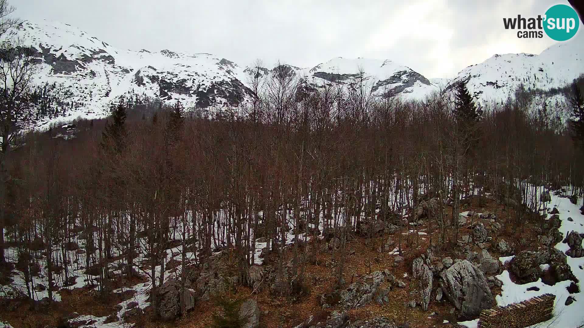 Livecam PLANINA RAZOR (1315) | vue sur Vogel et Globoko