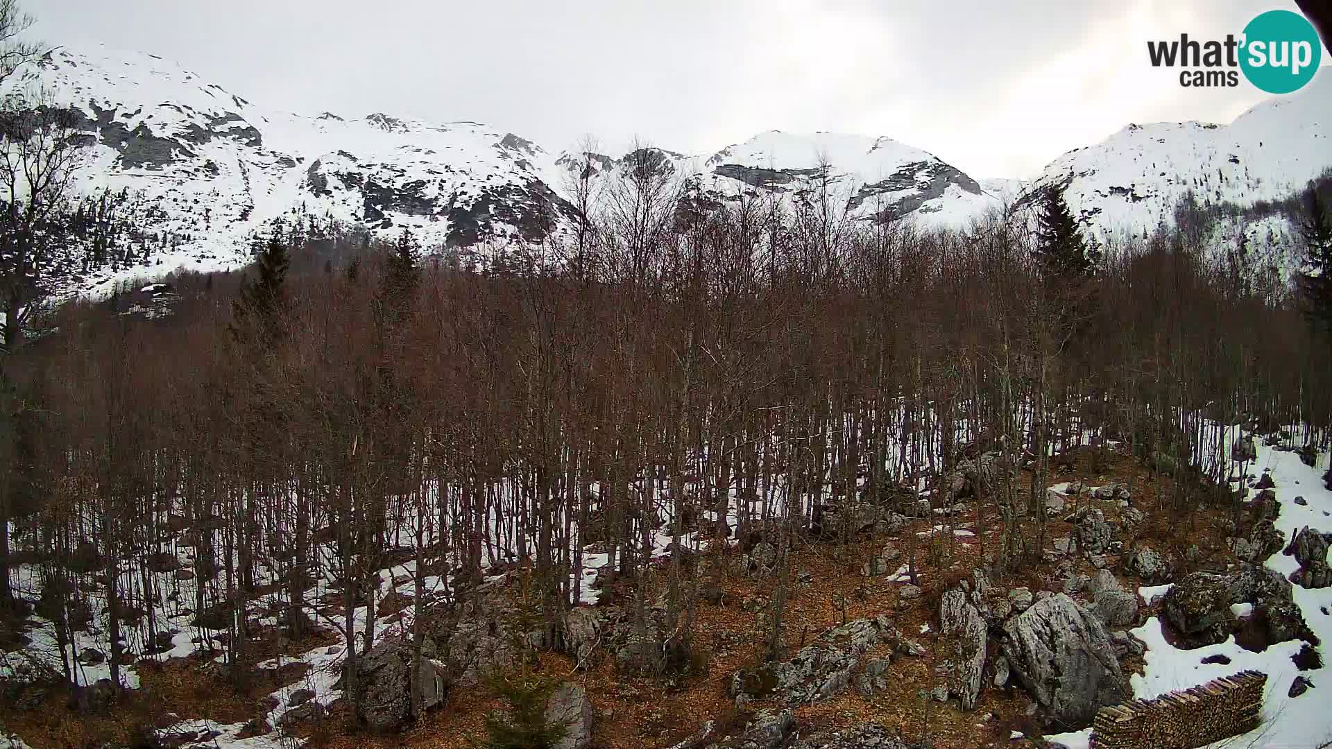 Livecam PLANINA RAZOR (1315) | vue sur Vogel et Globoko