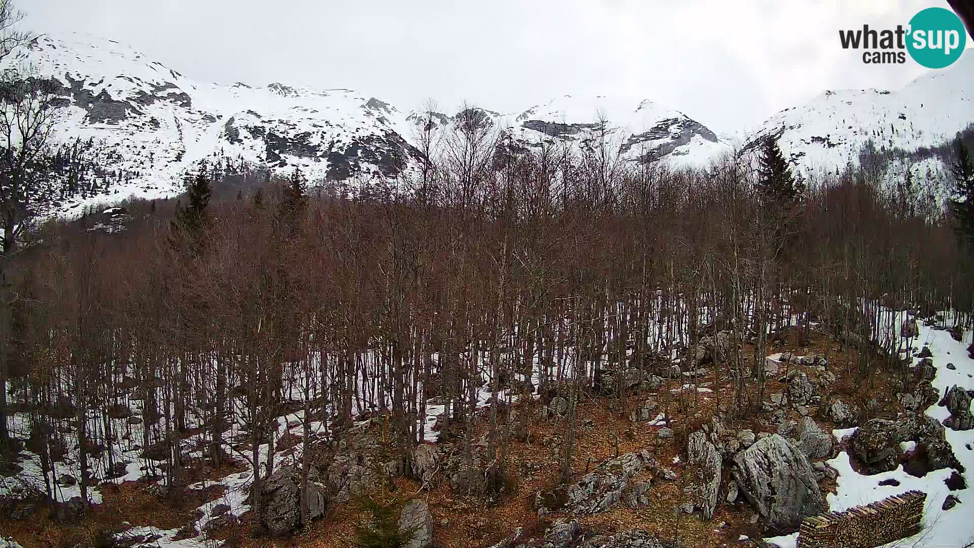 Webcam PLANINA RAZOR (1315) | Blick auf Vogel und Globoko