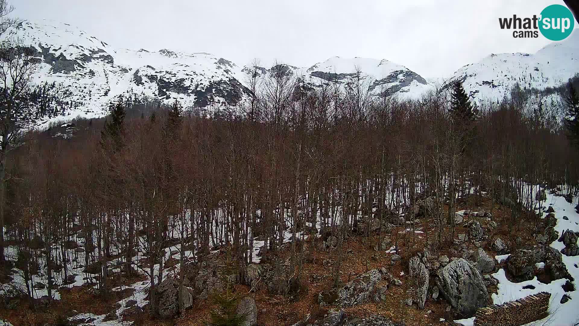 PLANINA RAZOR Live Cam (1315) | vista su Vogel e Globoko