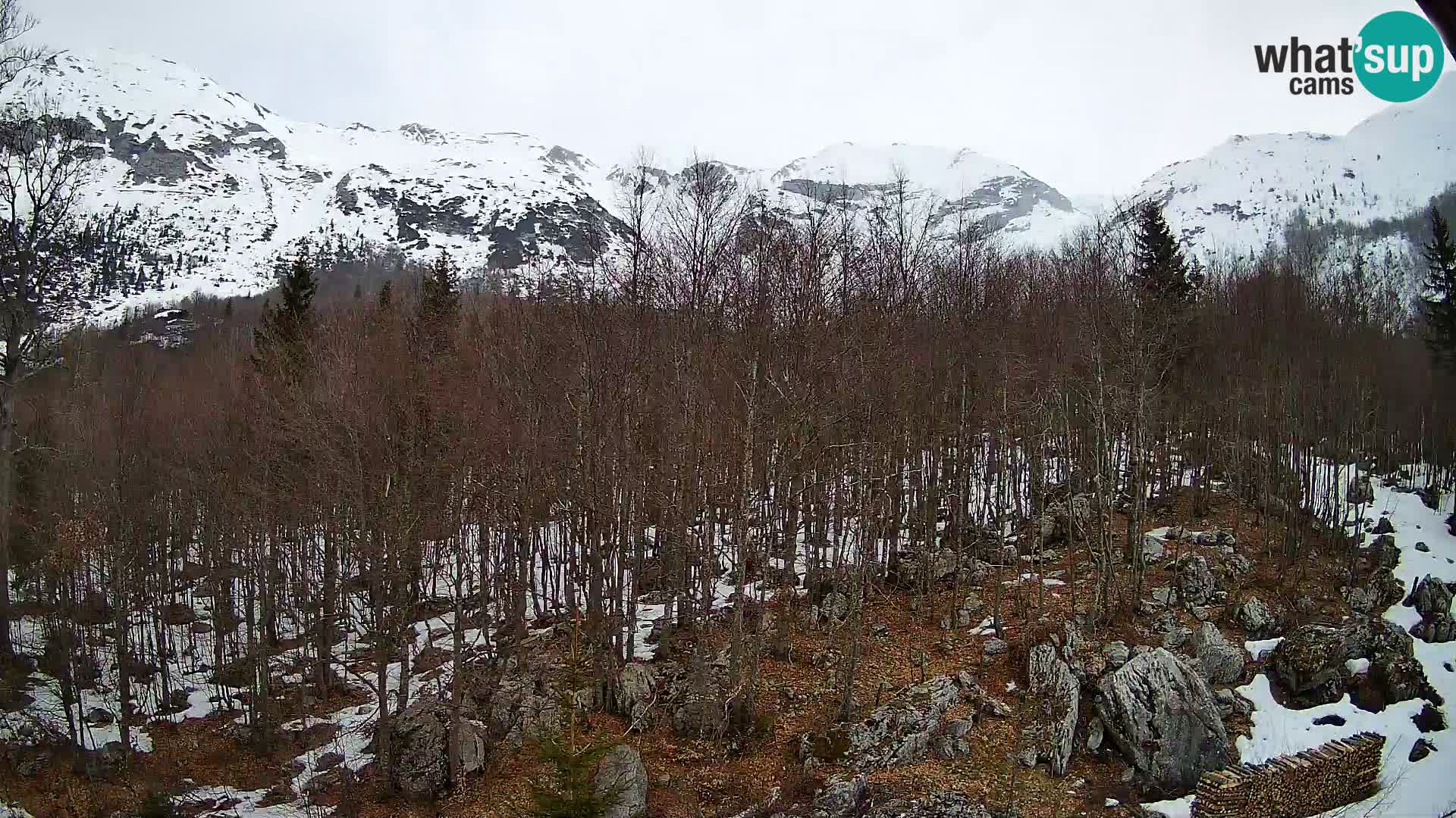 PLANINA RAZOR webcam (1315) | view to Vogel and Globoko