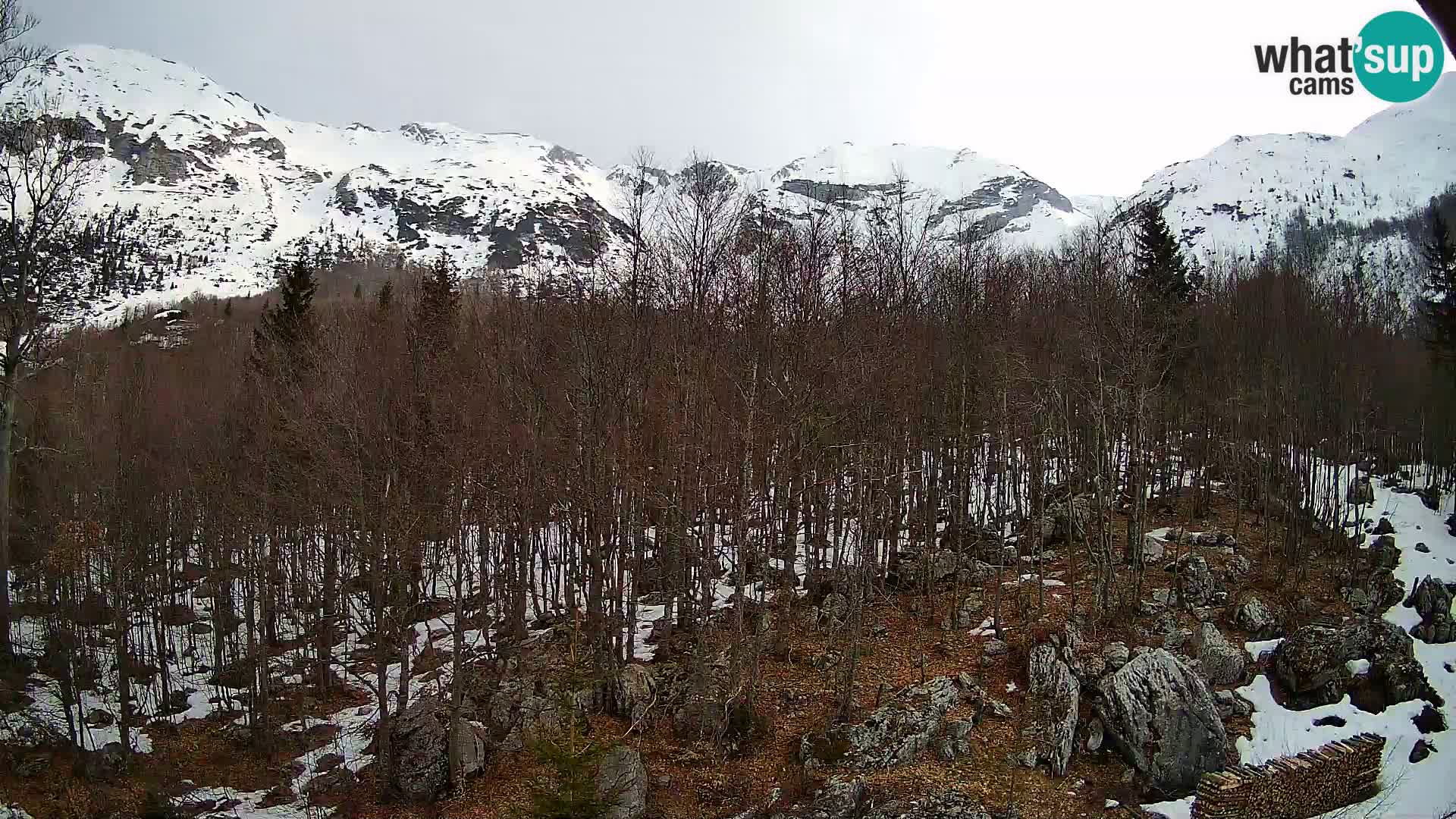 PLANINA RAZOR Live Cam (1315) | vista su Vogel e Globoko