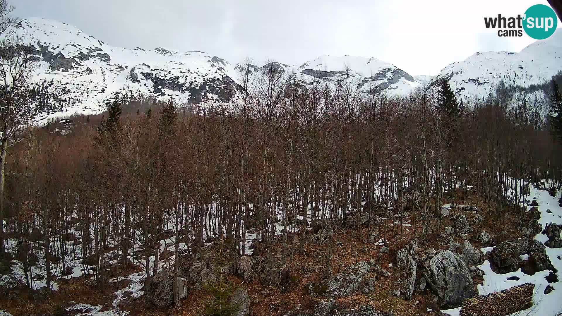 PLANINA RAZOR web kamera (1315) | pogled na Vogel i Globoko