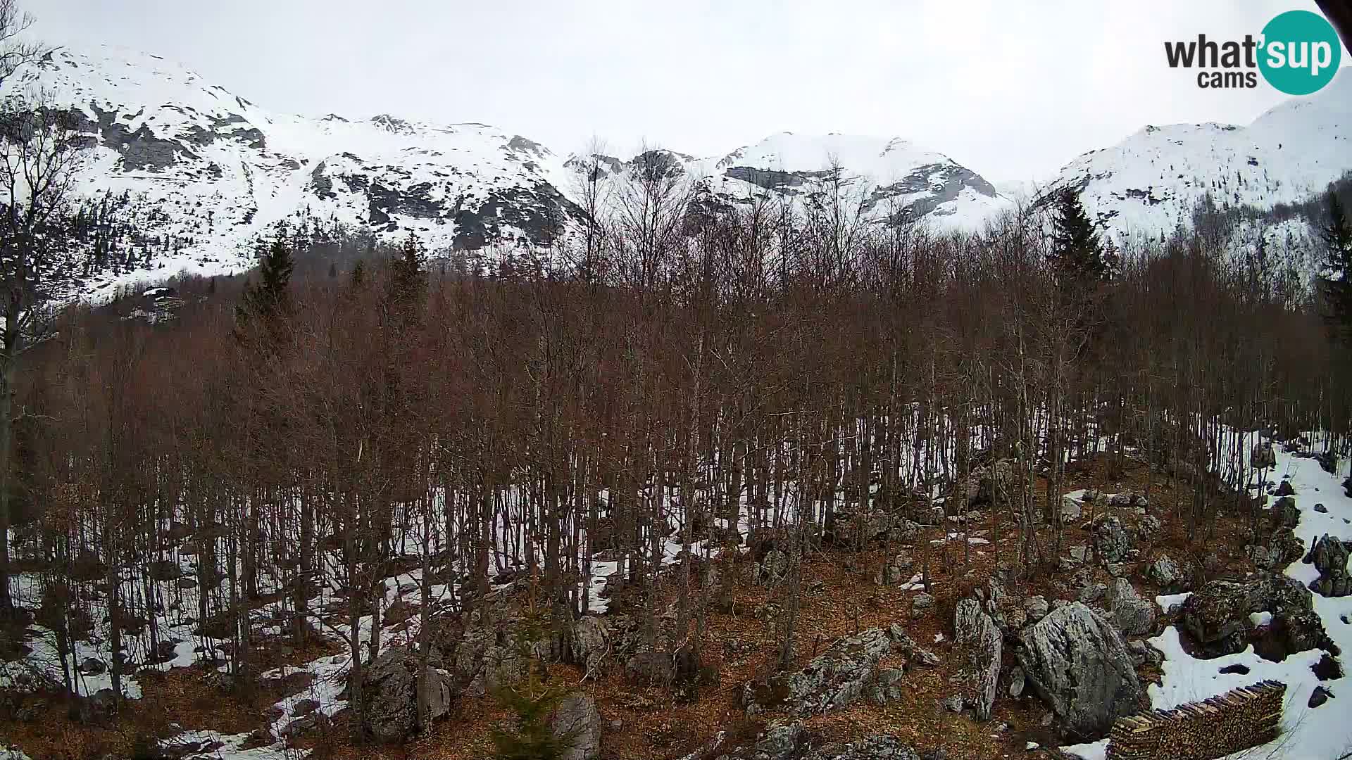 PLANINA RAZOR Live Cam (1315) | vista su Vogel e Globoko