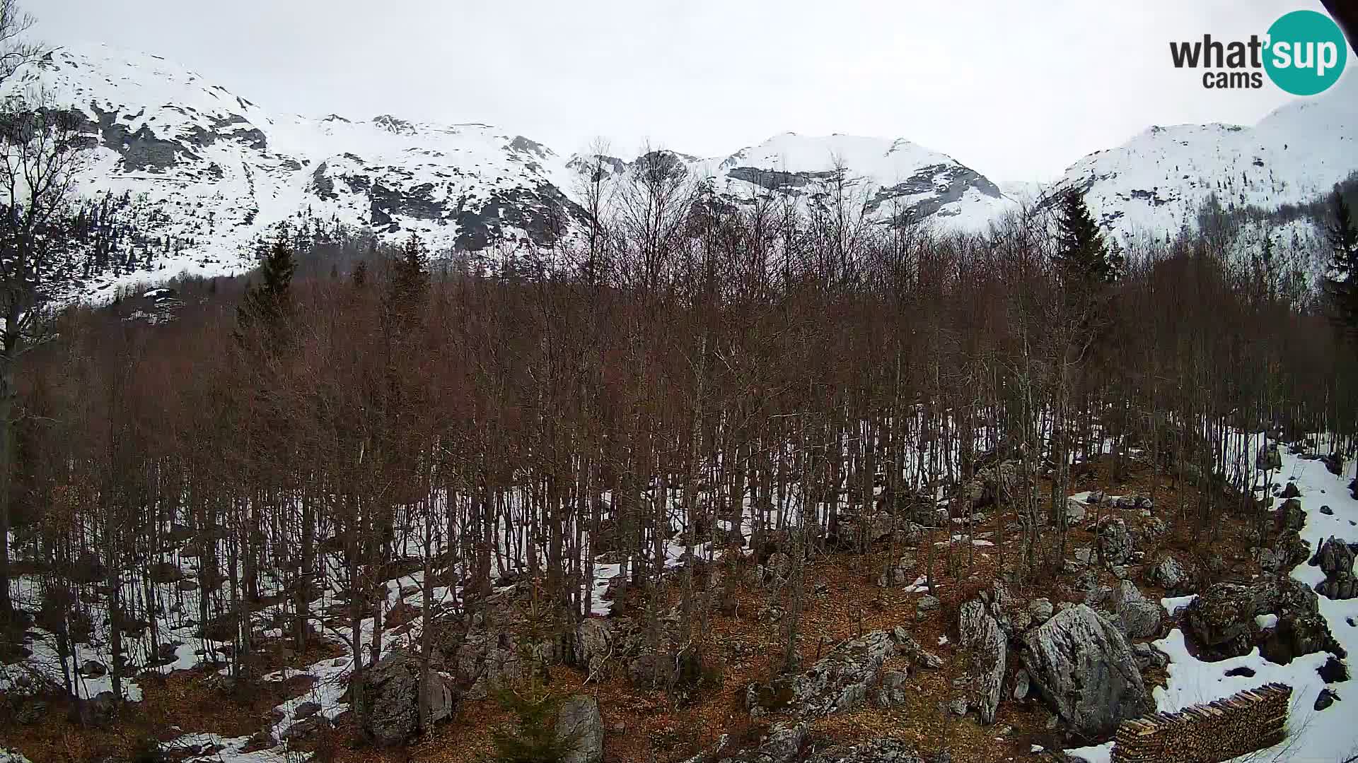 PLANINA RAZOR Live Cam (1315) | vista su Vogel e Globoko