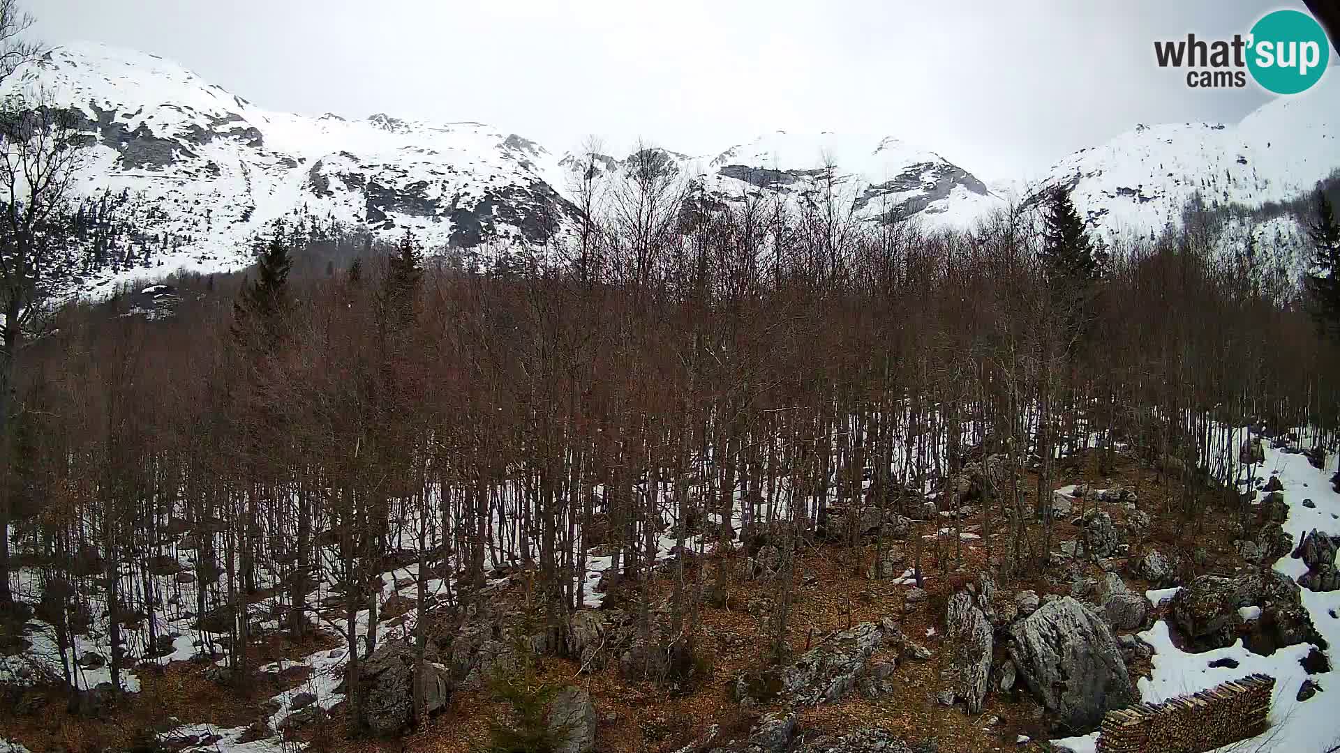 PLANINA RAZOR Live Cam (1315) | vista su Vogel e Globoko