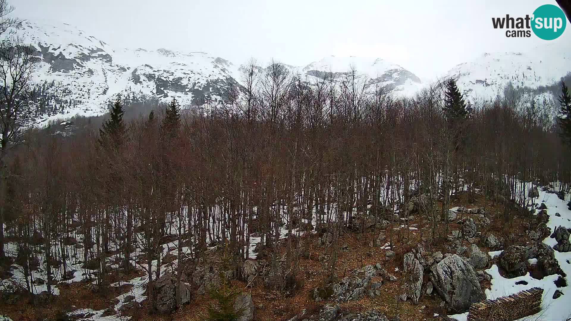PLANINA RAZOR Live Cam (1315) | vista su Vogel e Globoko