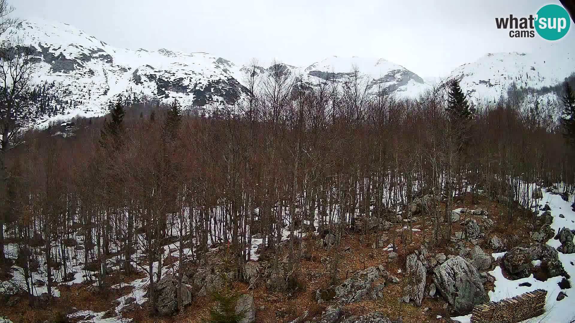 Livecam PLANINA RAZOR (1315) | vue sur Vogel et Globoko