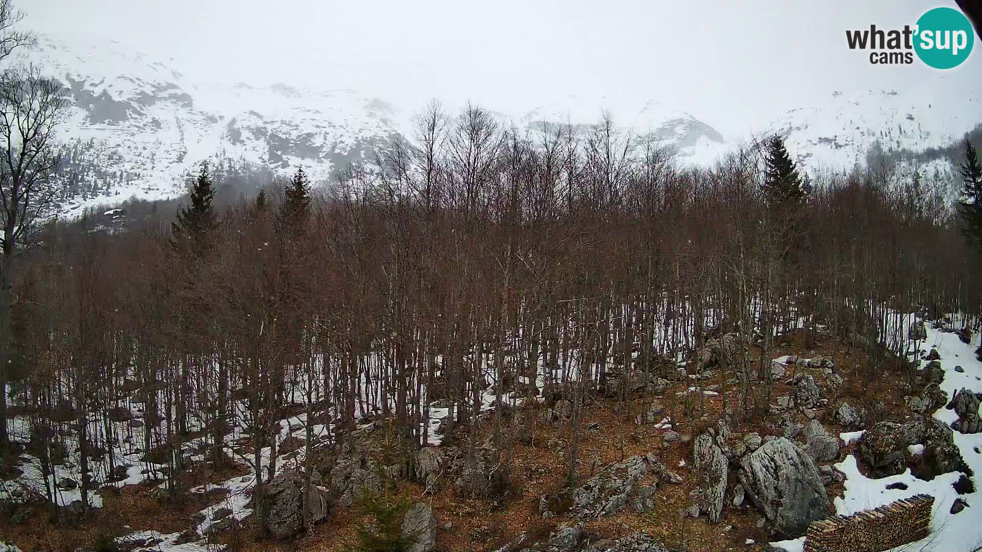 Cámara web PLANINA RAZOR (1315) | vista a Vogel y Globoko