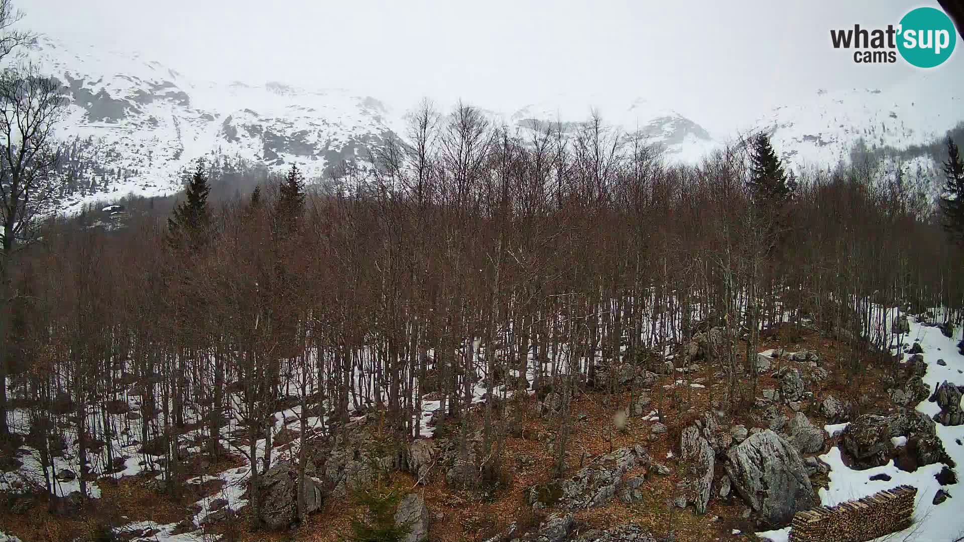 Cámara web PLANINA RAZOR (1315) | vista a Vogel y Globoko