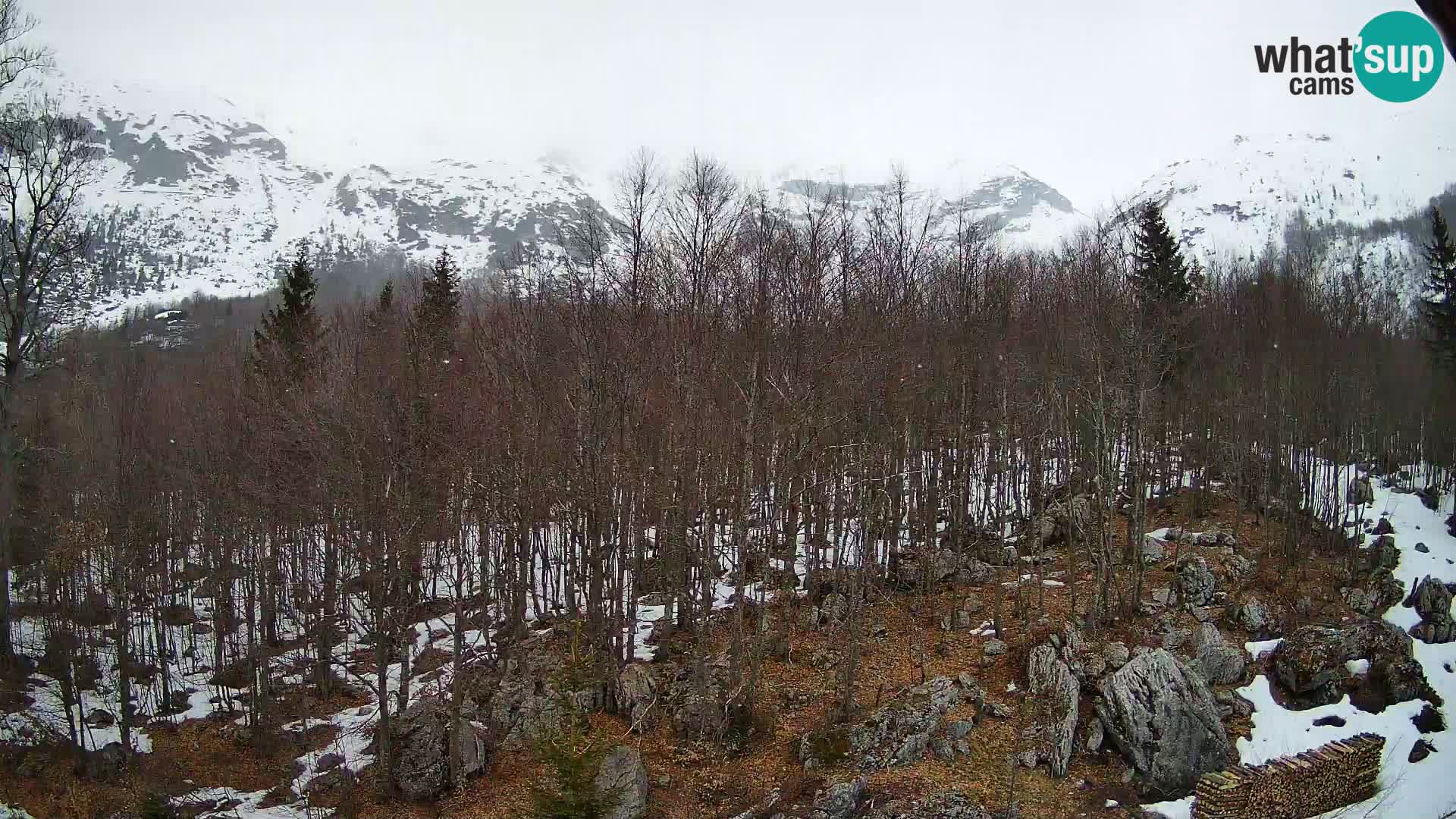 Livecam PLANINA RAZOR (1315) | vue sur Vogel et Globoko