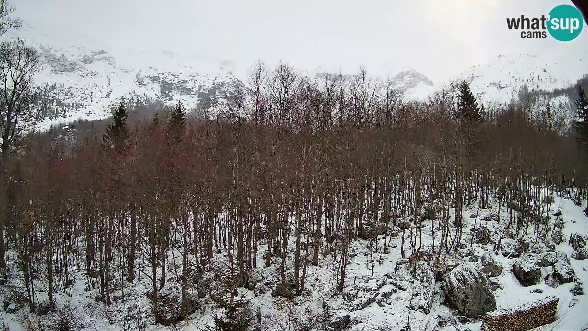 PLANINA RAZOR Live Cam (1315) | vista su Vogel e Globoko