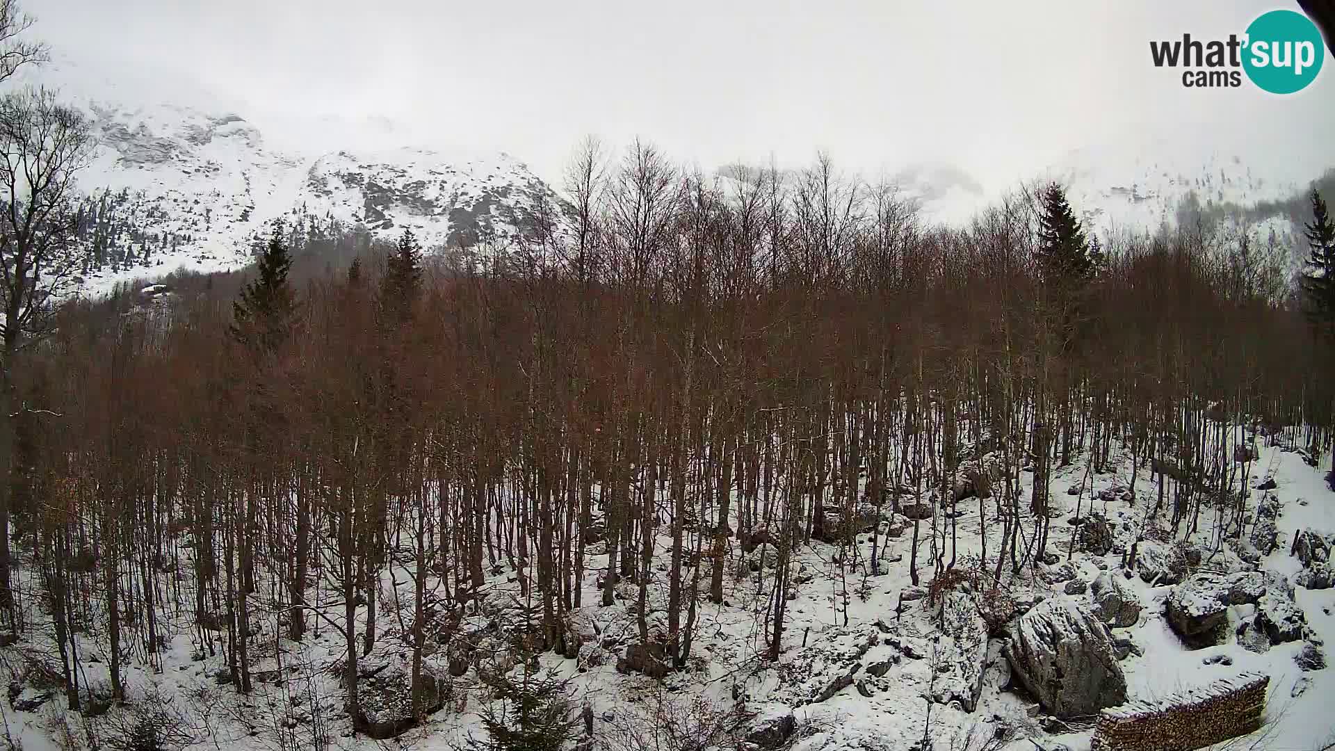 PLANINA RAZOR webcam (1315) | view to Vogel and Globoko