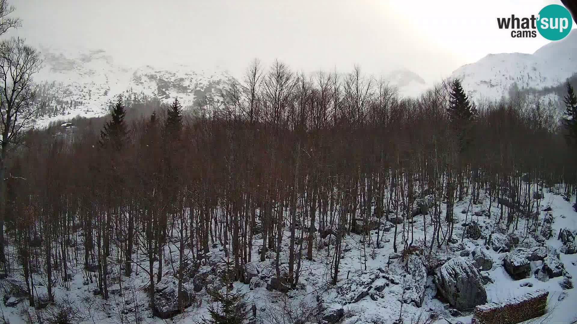 Cámara web PLANINA RAZOR (1315) | vista a Vogel y Globoko