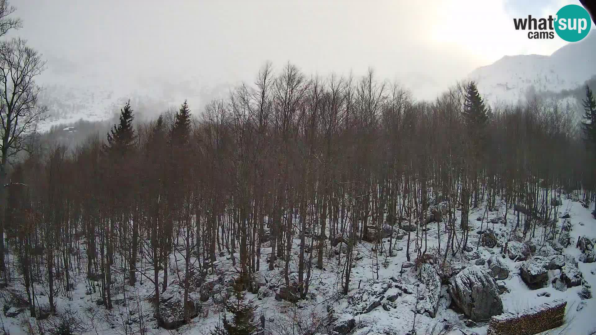 Livecam PLANINA RAZOR (1315) | vue sur Vogel et Globoko