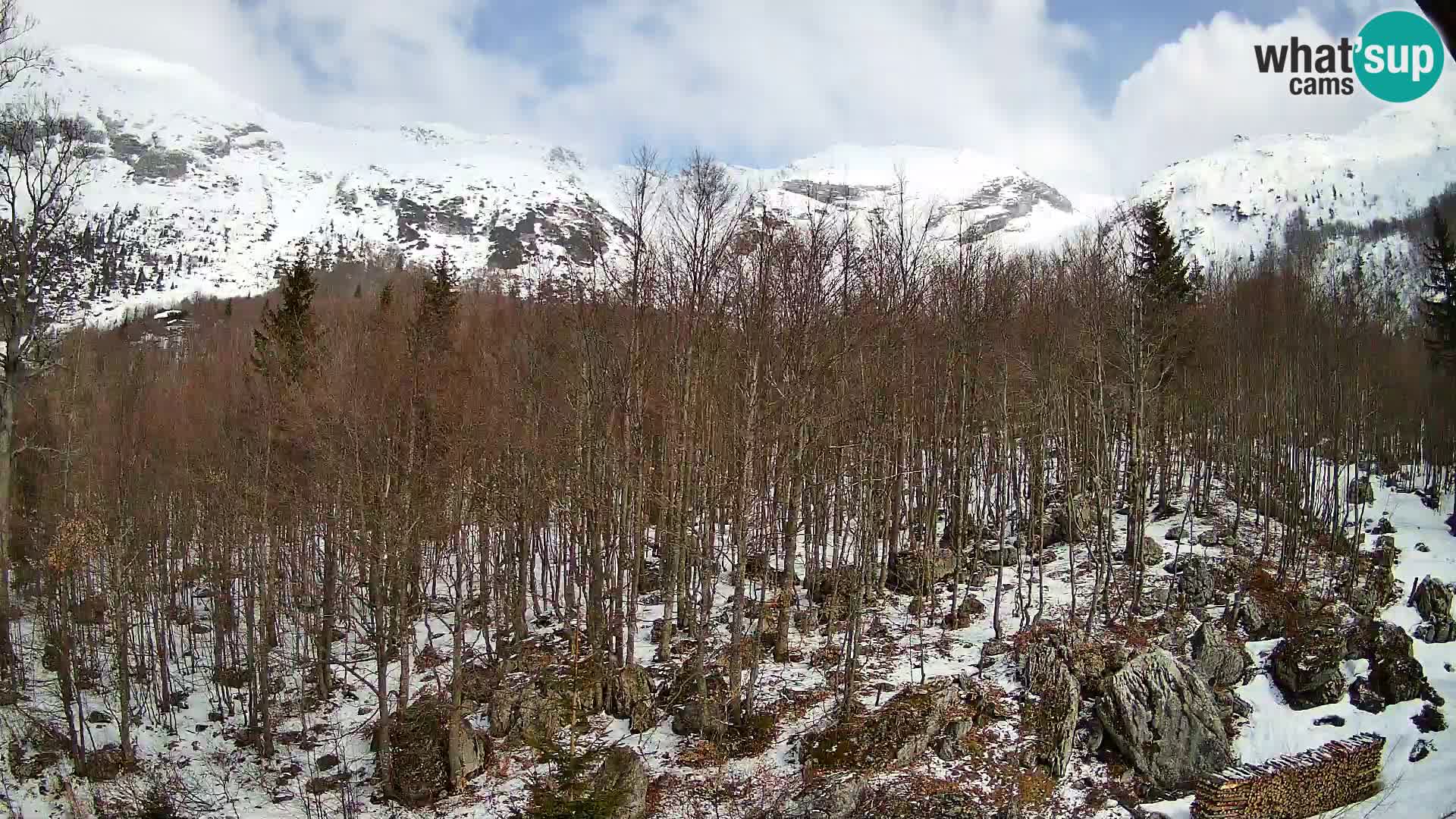 PLANINA RAZOR Live Cam (1315) | vista su Vogel e Globoko